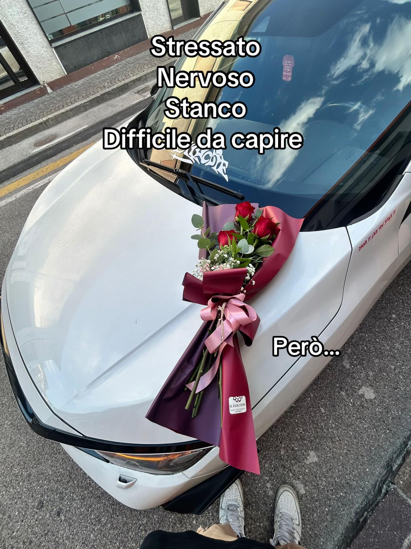 @Lori.vtec