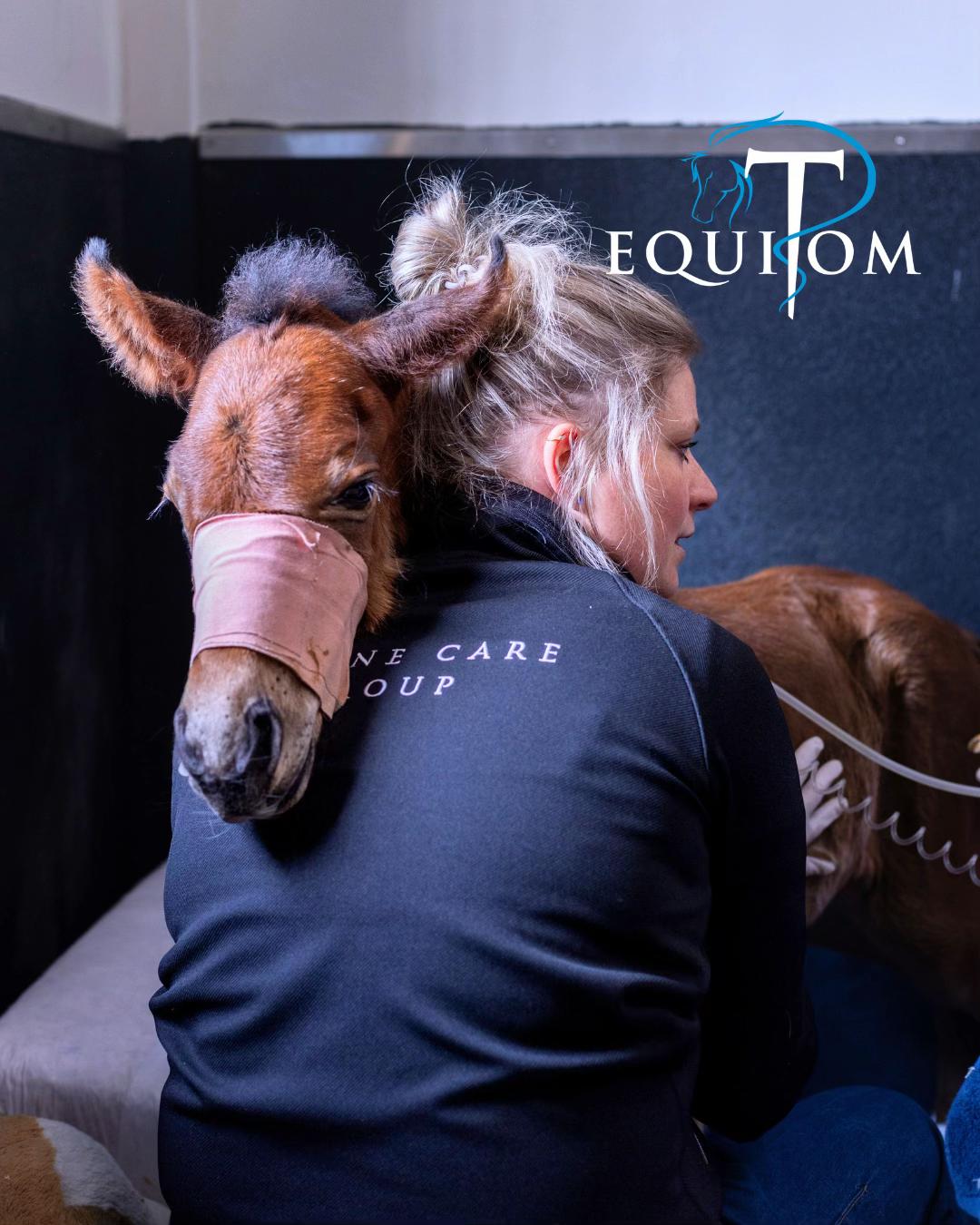 @Equitom