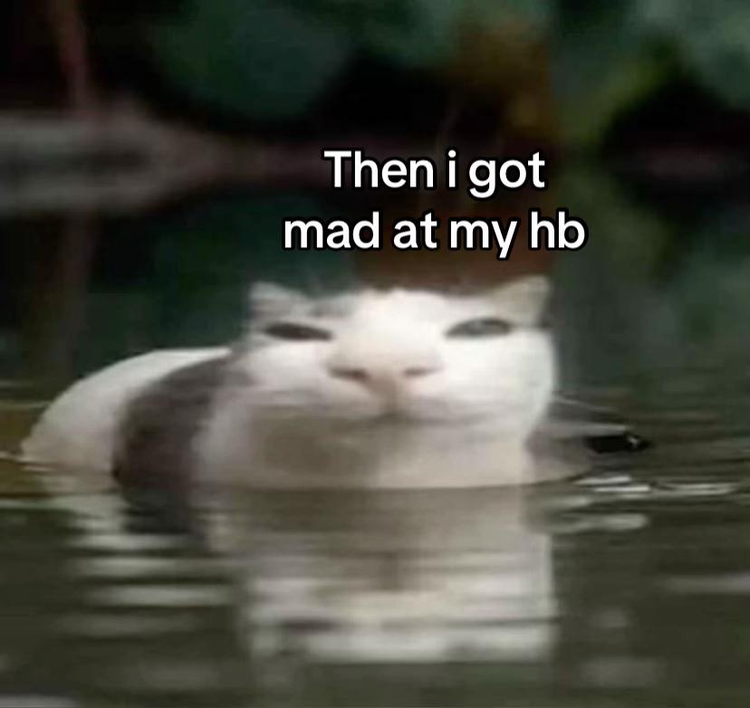 @𝑉𝑖𝑘𝑠𝑎🤍🪽