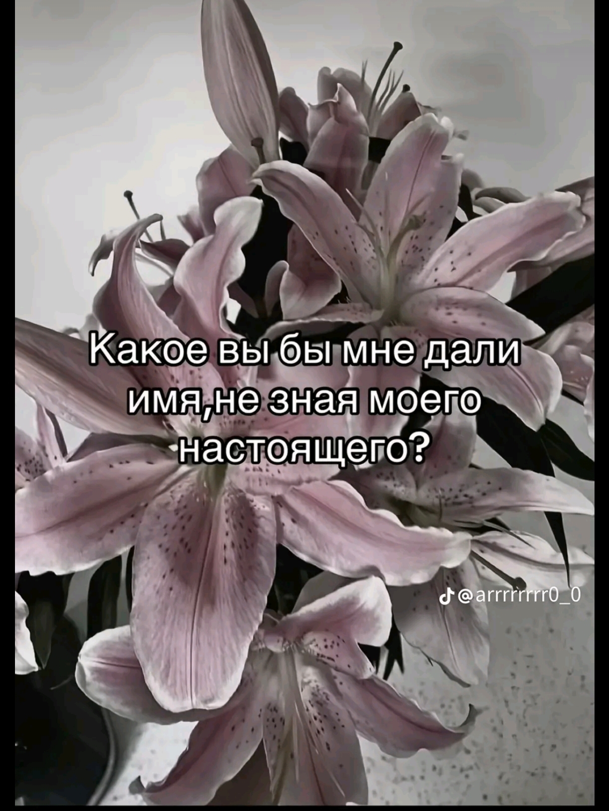 @Дарья Бакулина
