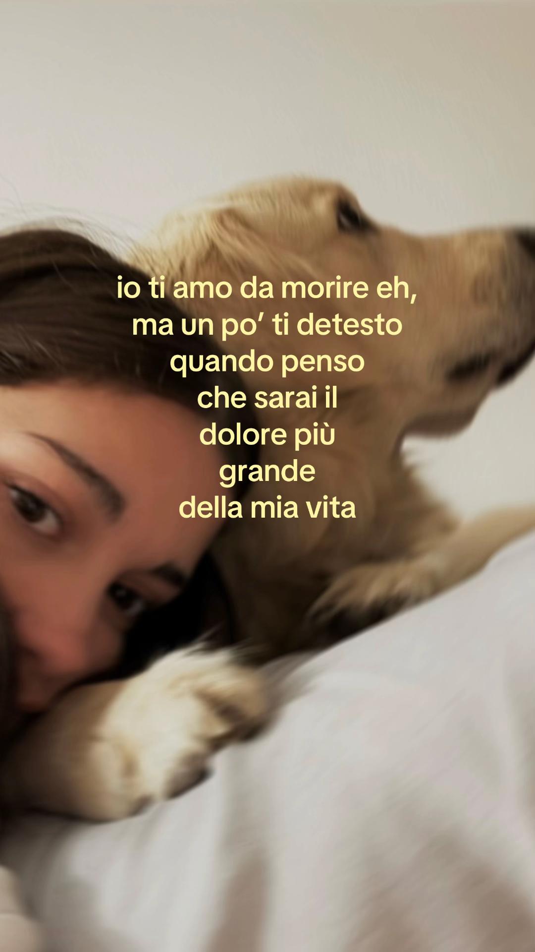 @LETI