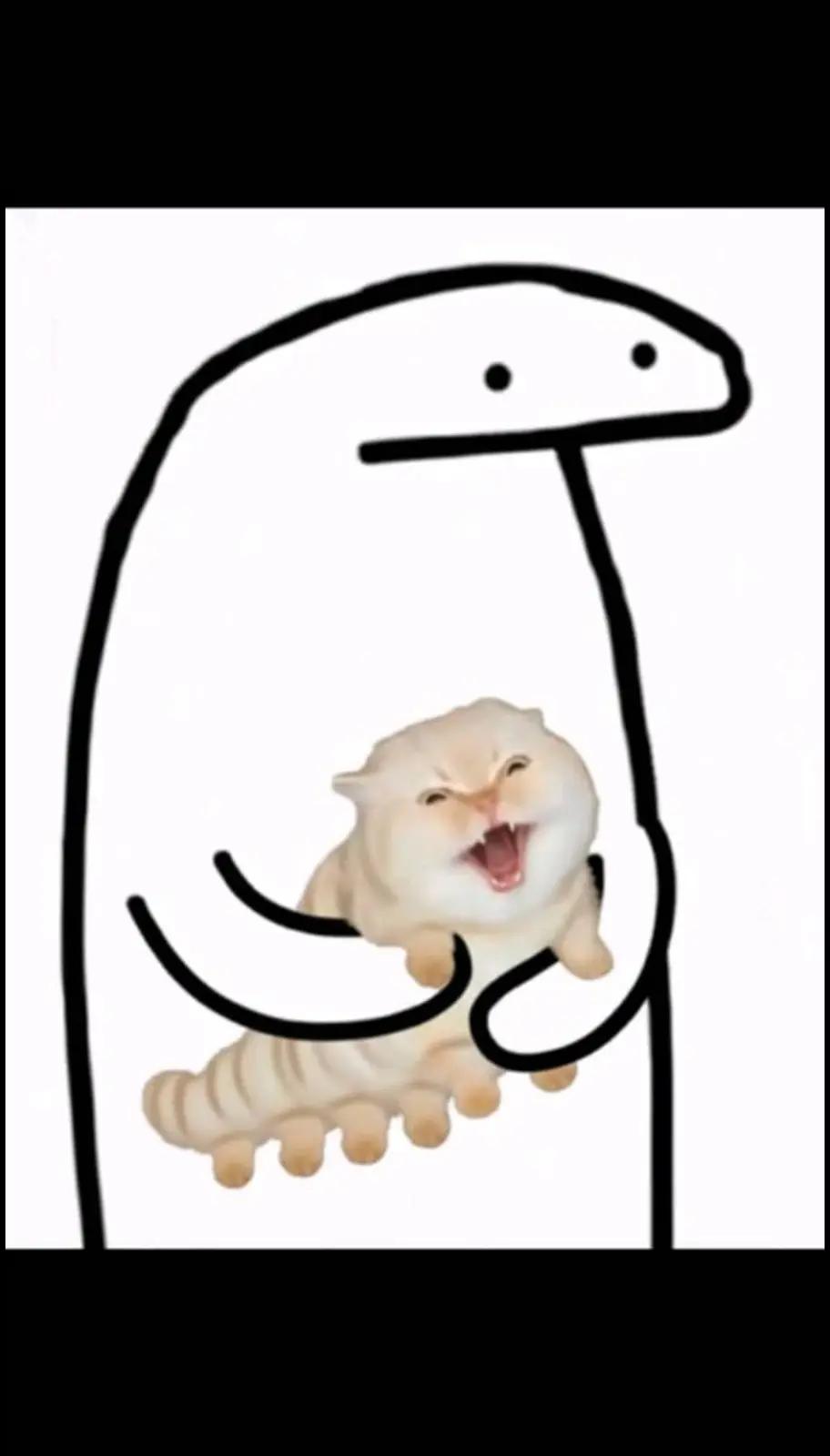 @Котогусеница