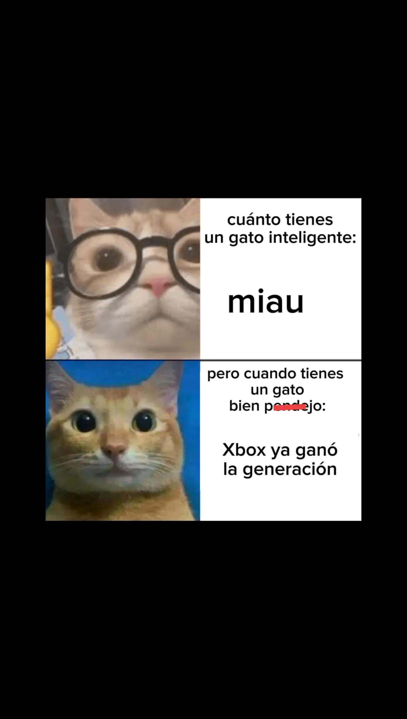 @rubensinelnuv