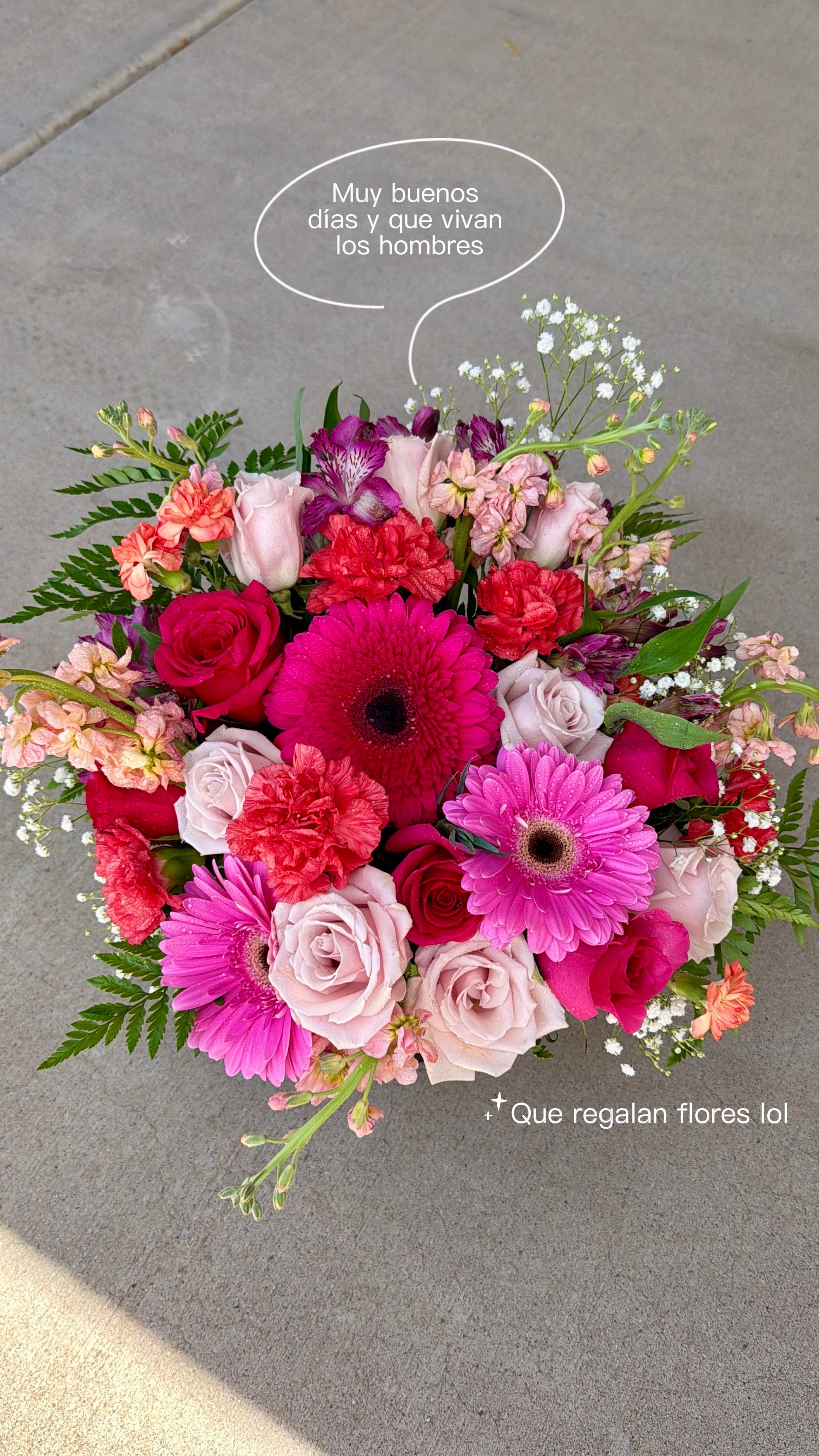 @BLOOMERS FLORIST AZ