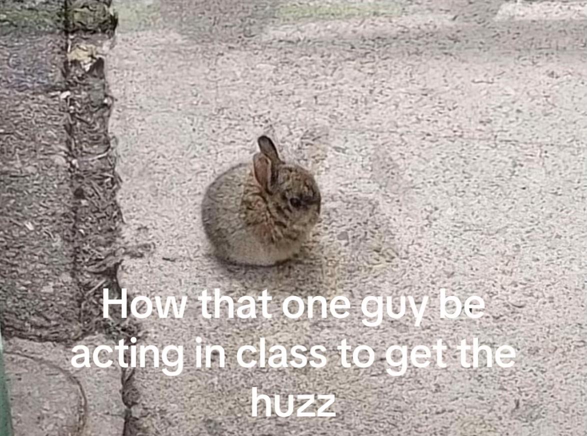 @&aelig;.z2acc