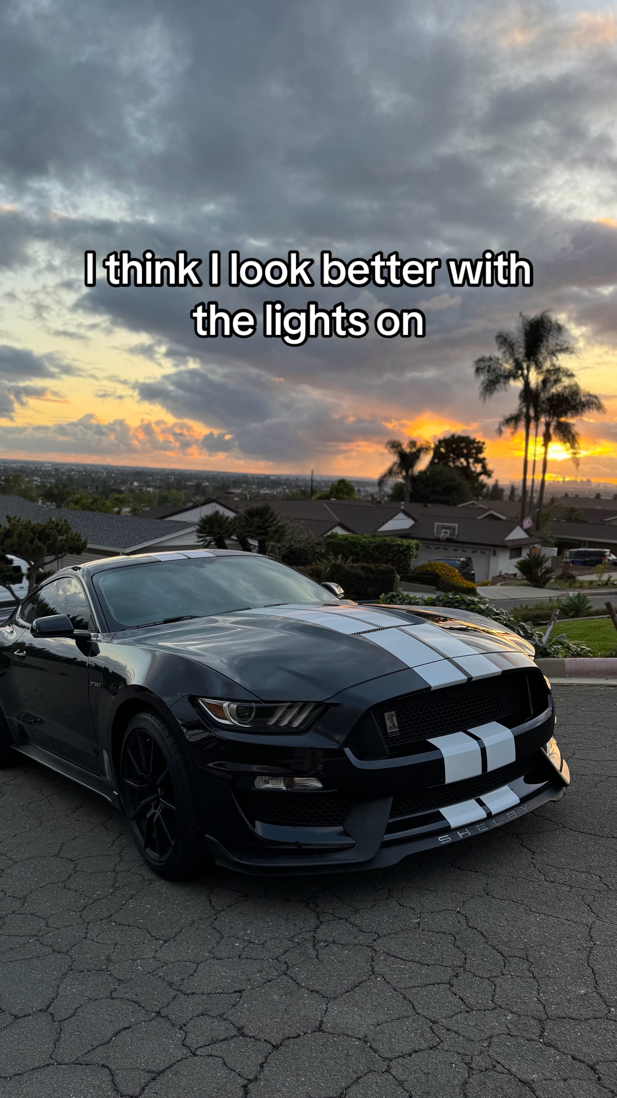 @Alejandro