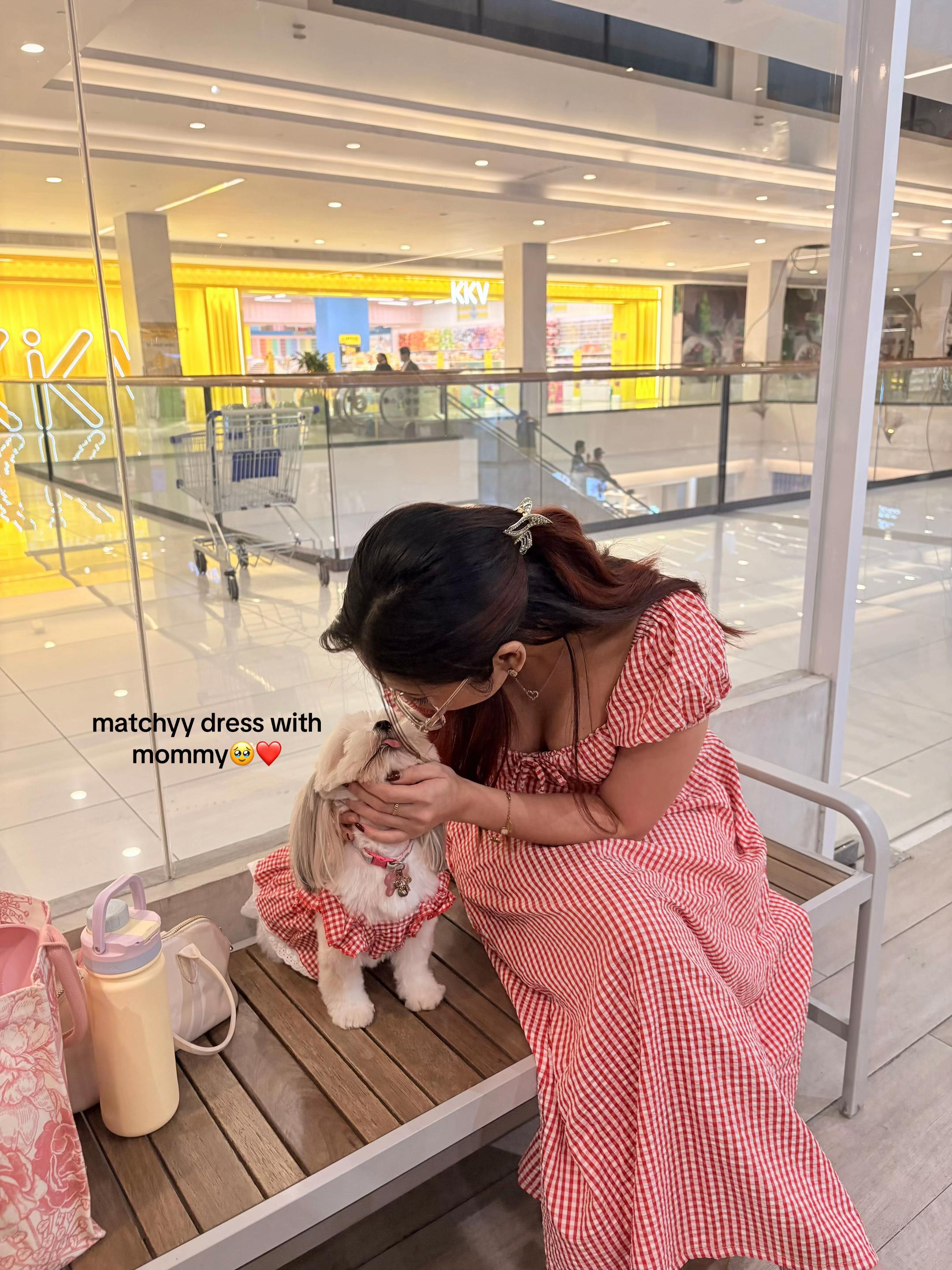 @POLA ˙𐃷˙