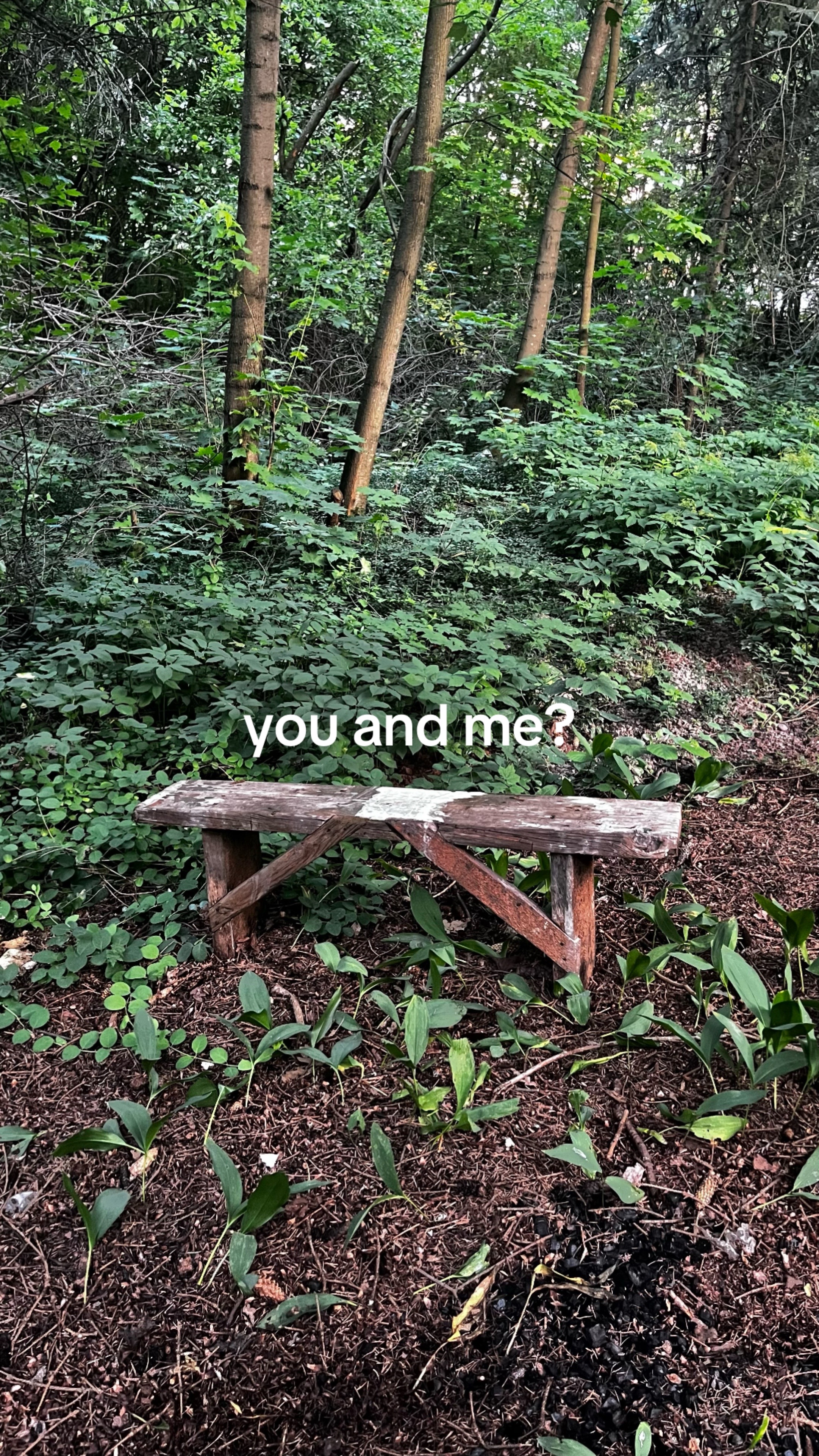 @witcloud
