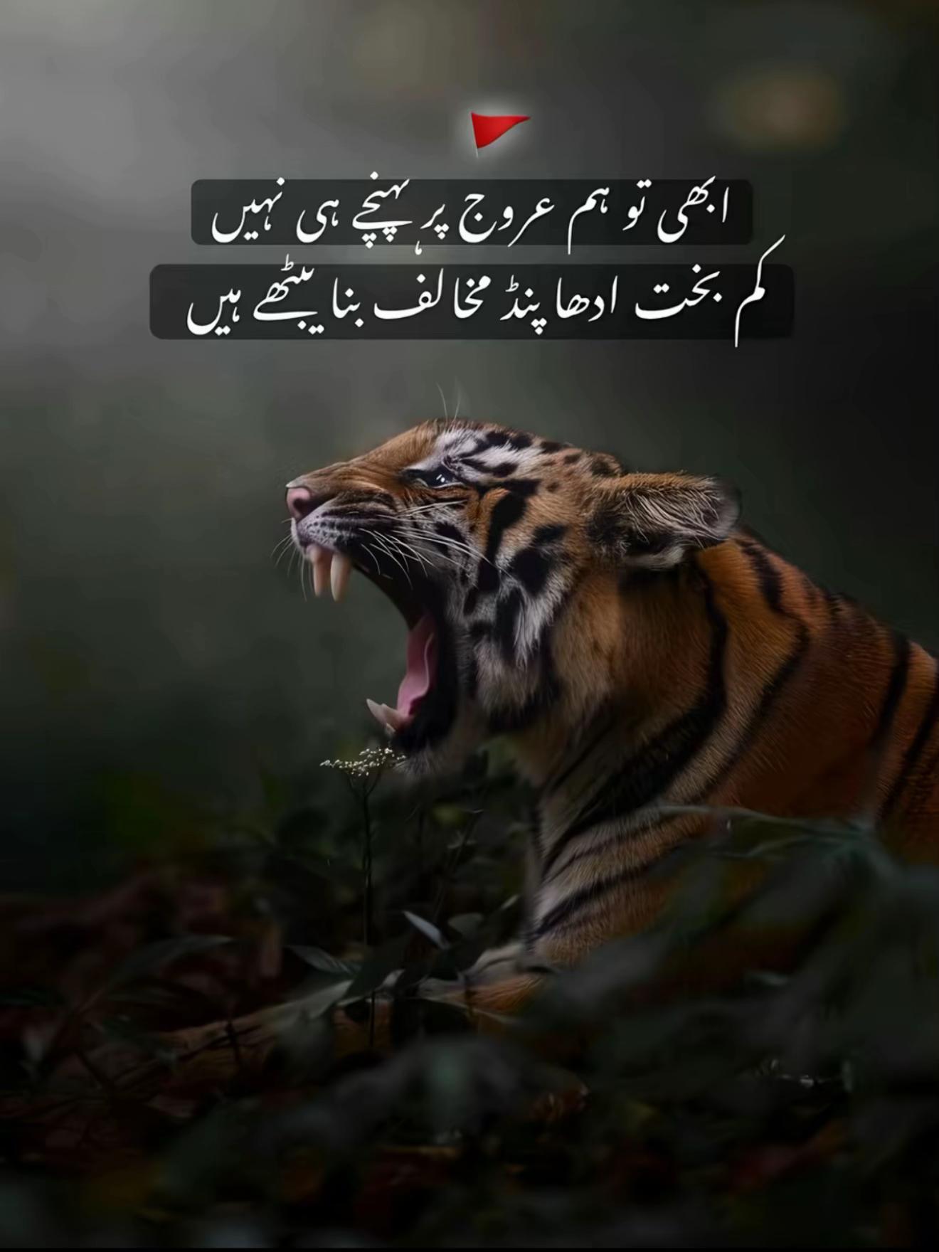 @🎵🔥SuNNa 🥷🏻 بیلے آلہ