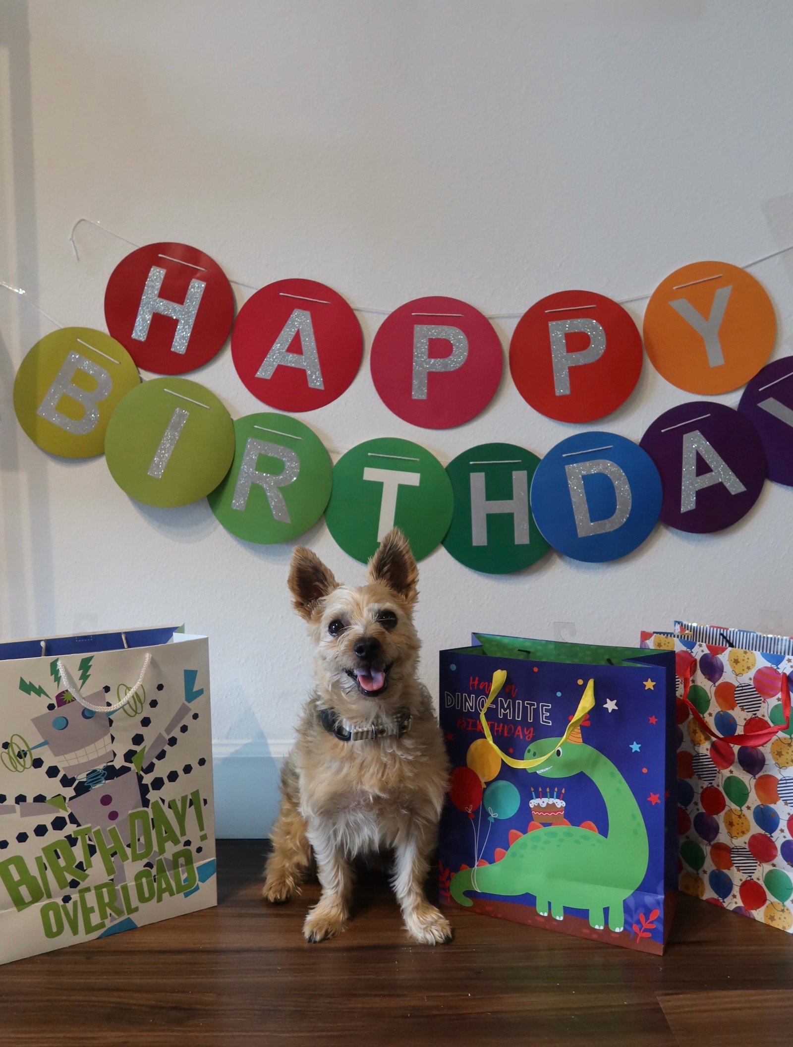 @Victoria Hallet