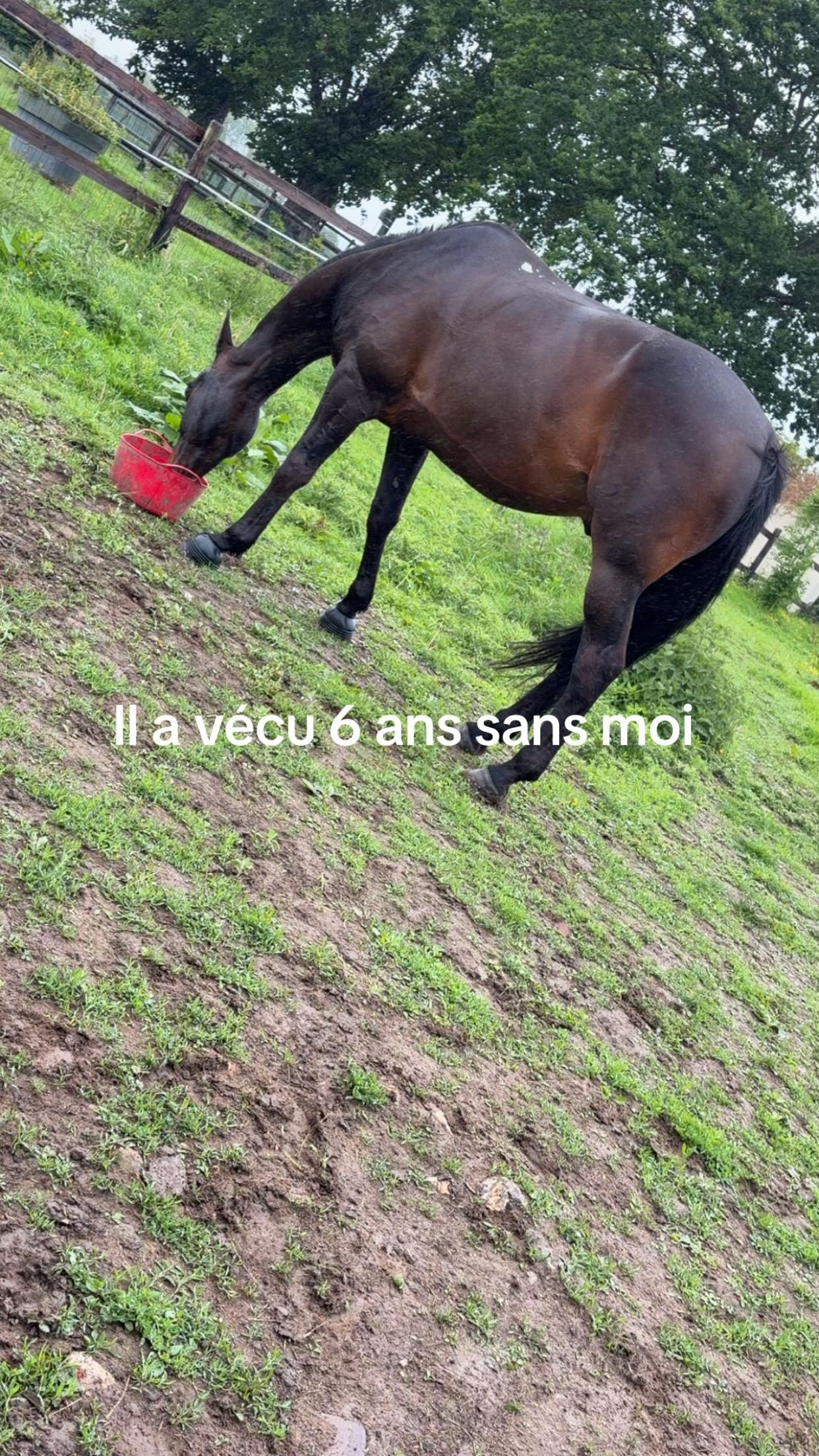 @Letiiiii🤪