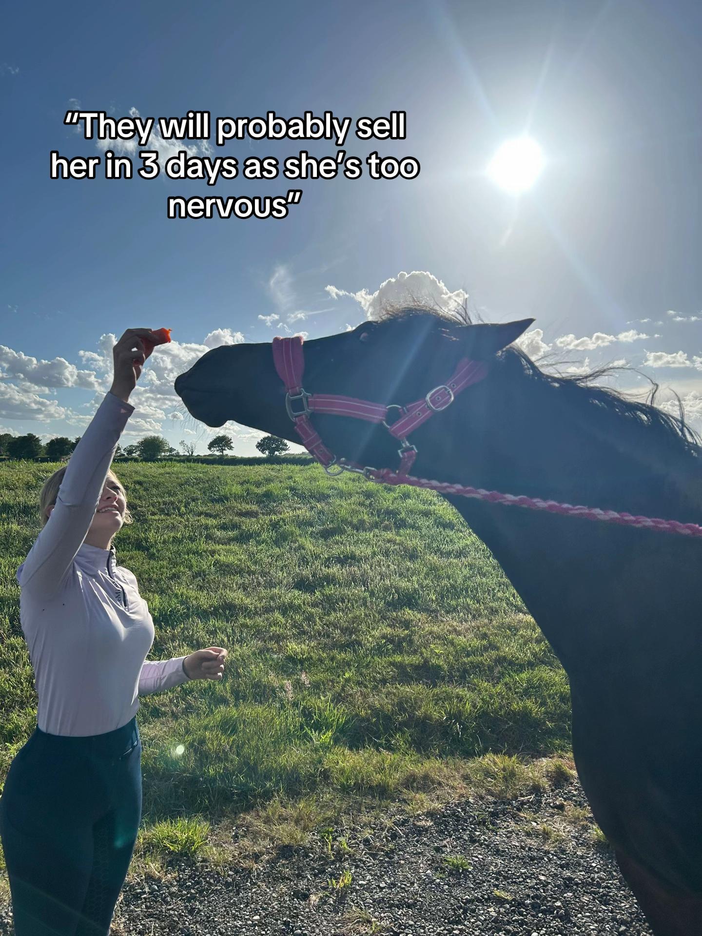 @My8hooves