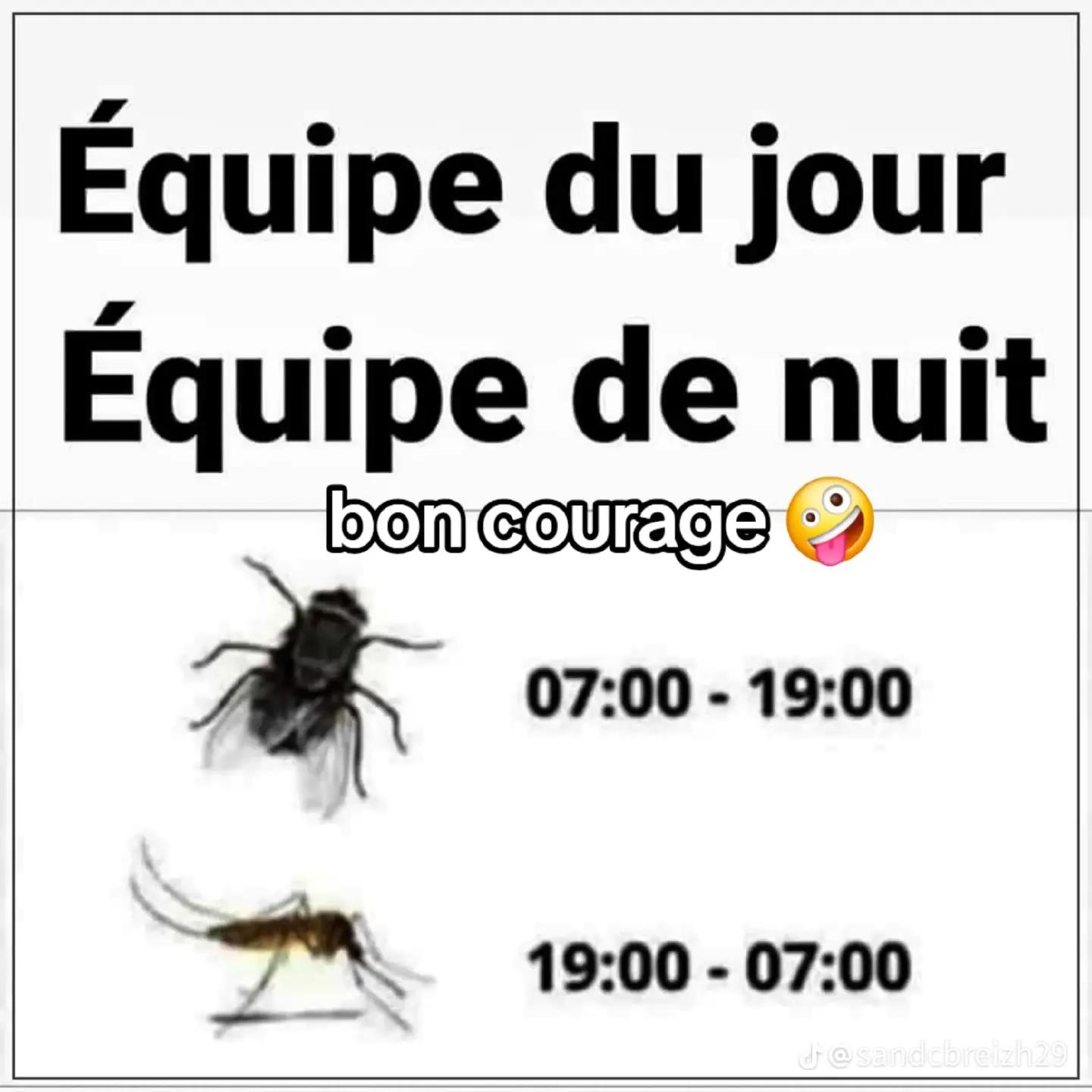 @Fran&ccedil;oise Staudt 🤩🤩🤩