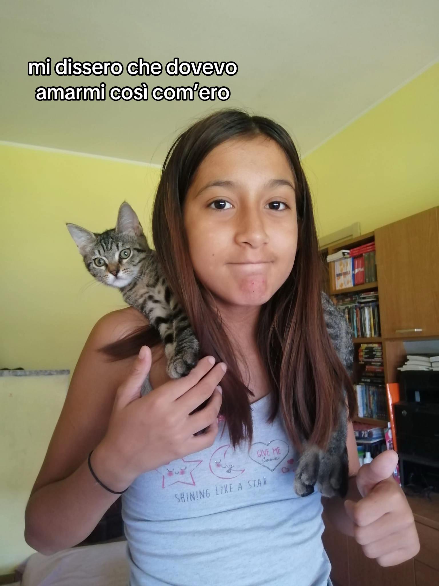 @spam.sarafr