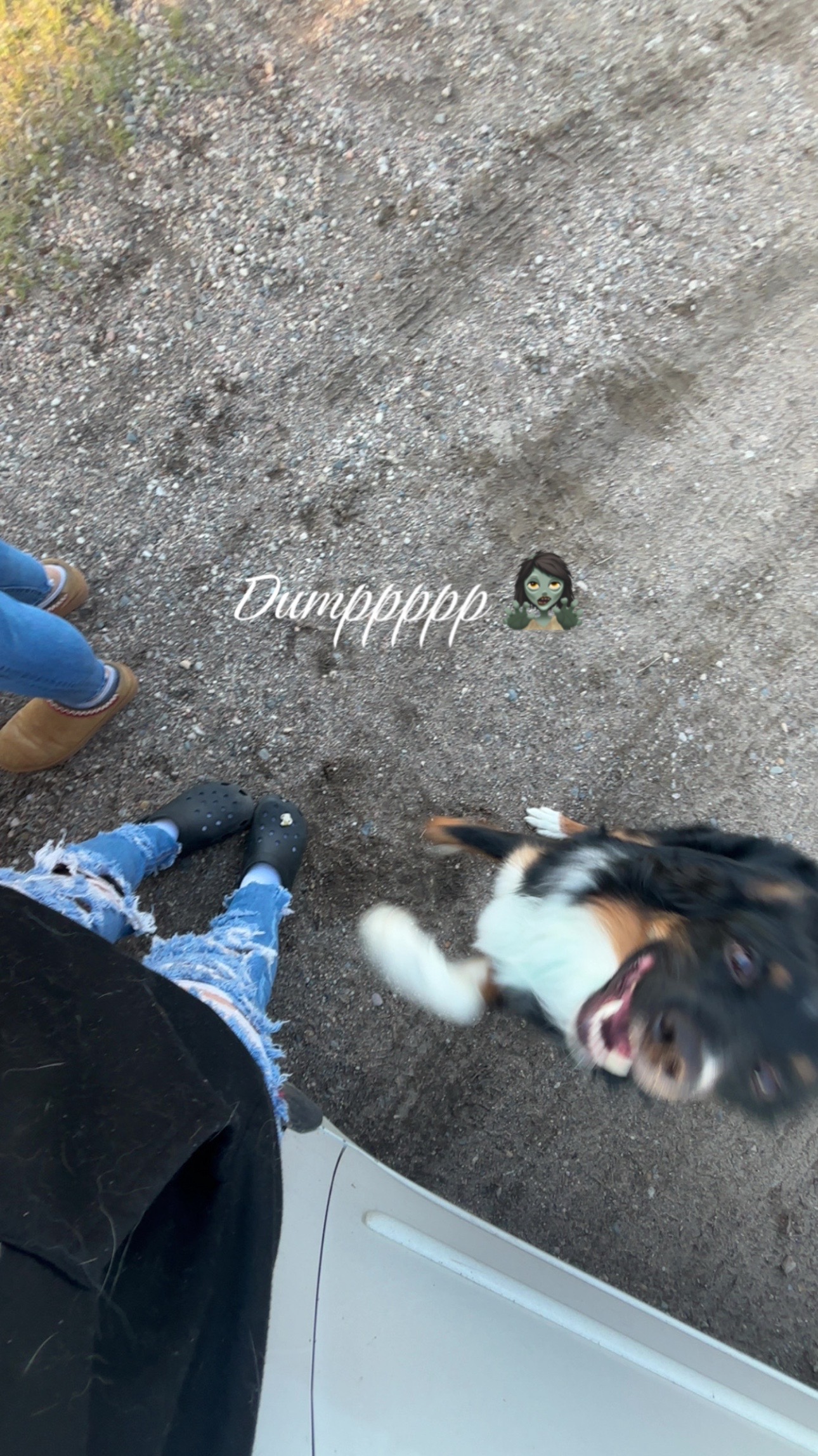 @Soph 🧟&zwj;♀️