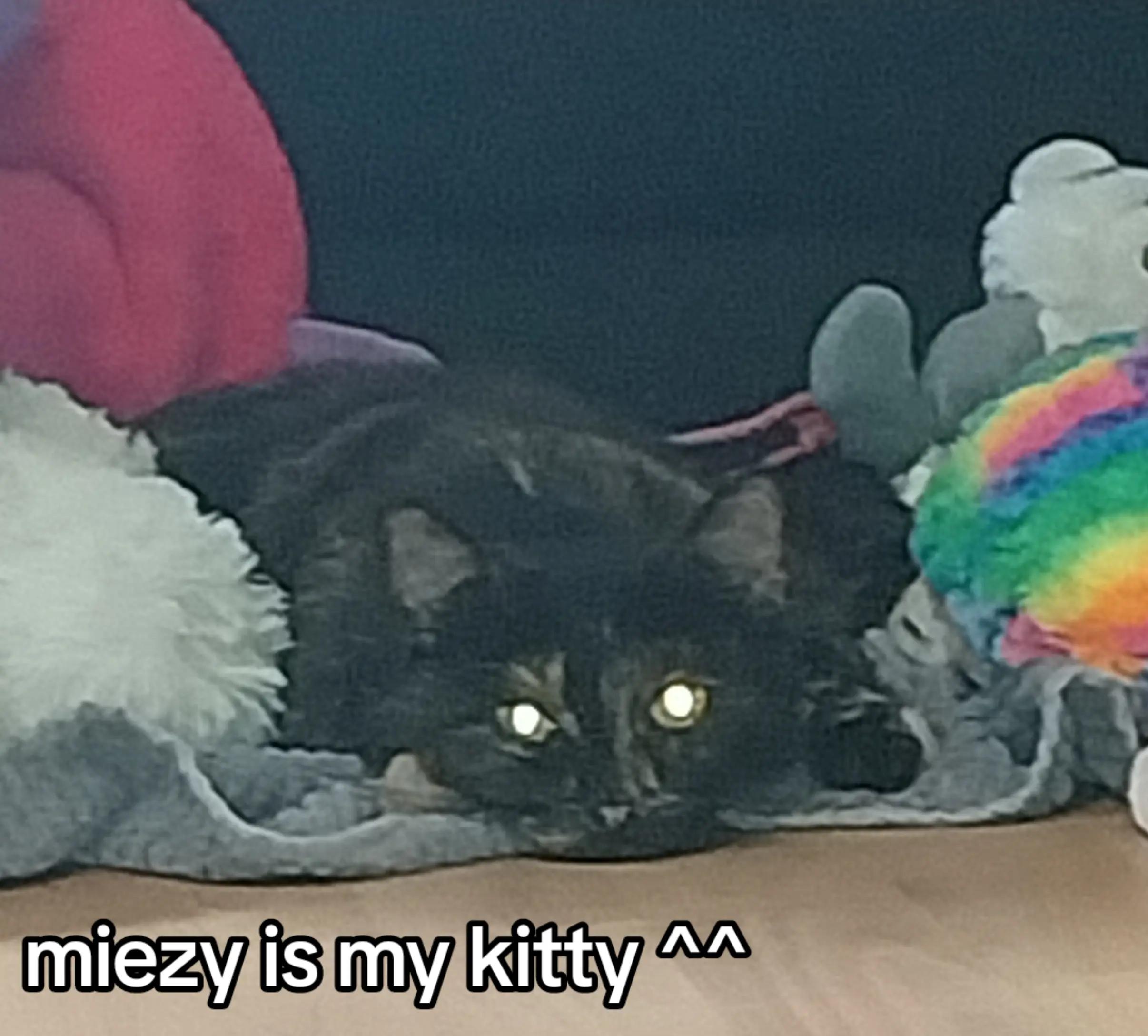 @roni♡'s shrimpo&#n1 squirm fan