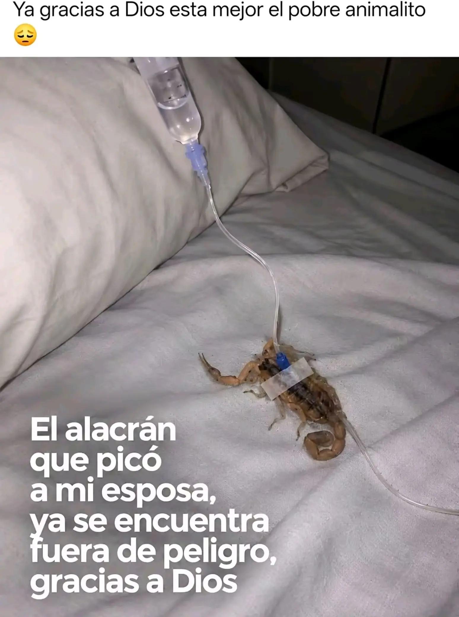 @chande viral