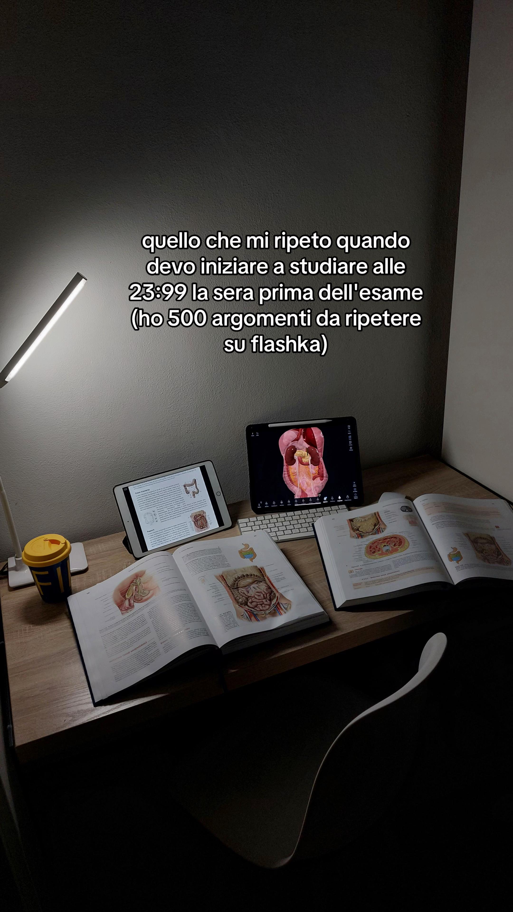 @Aurora | study tips📚