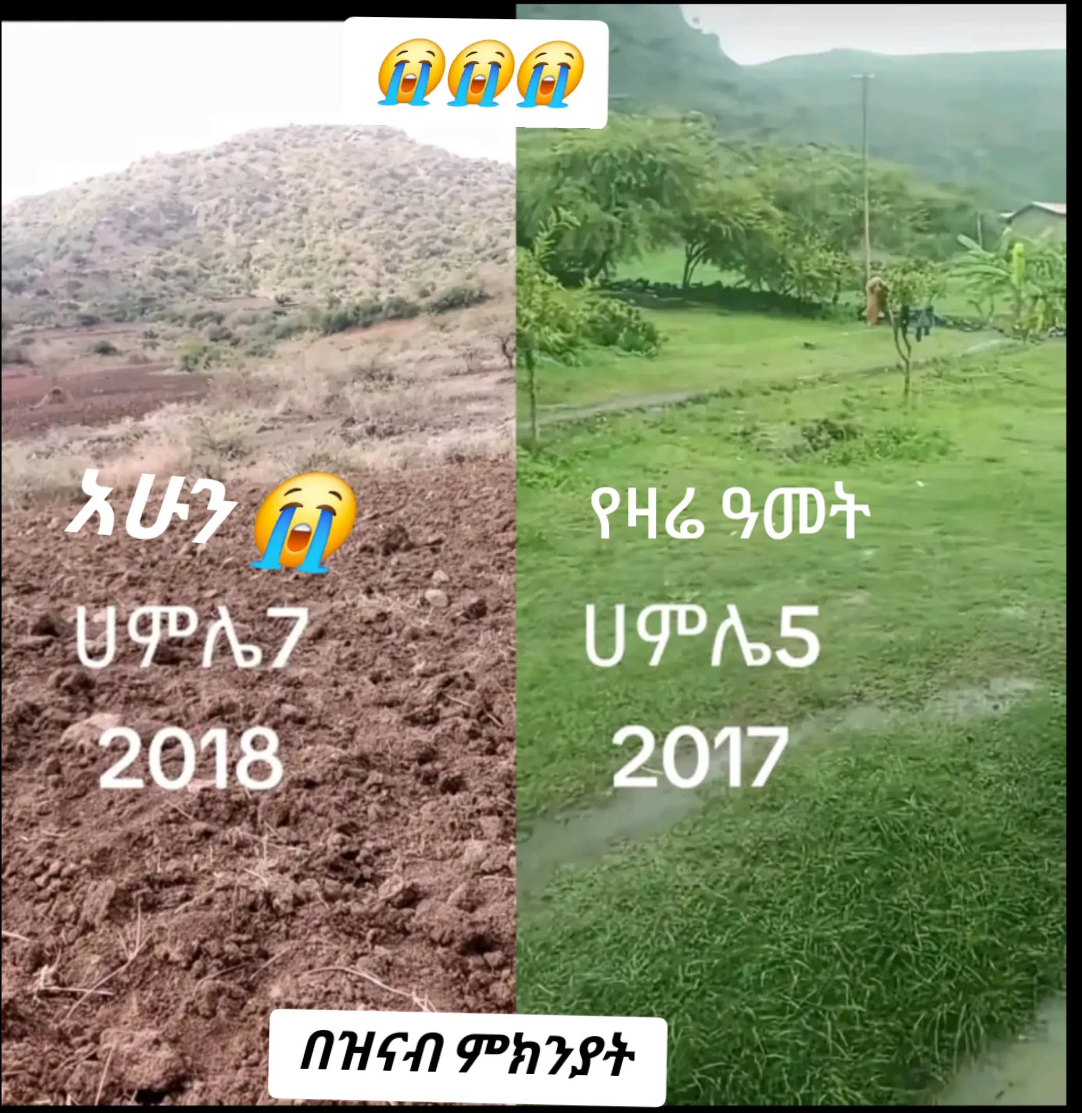 @DEVA Ye ተዋህዶ