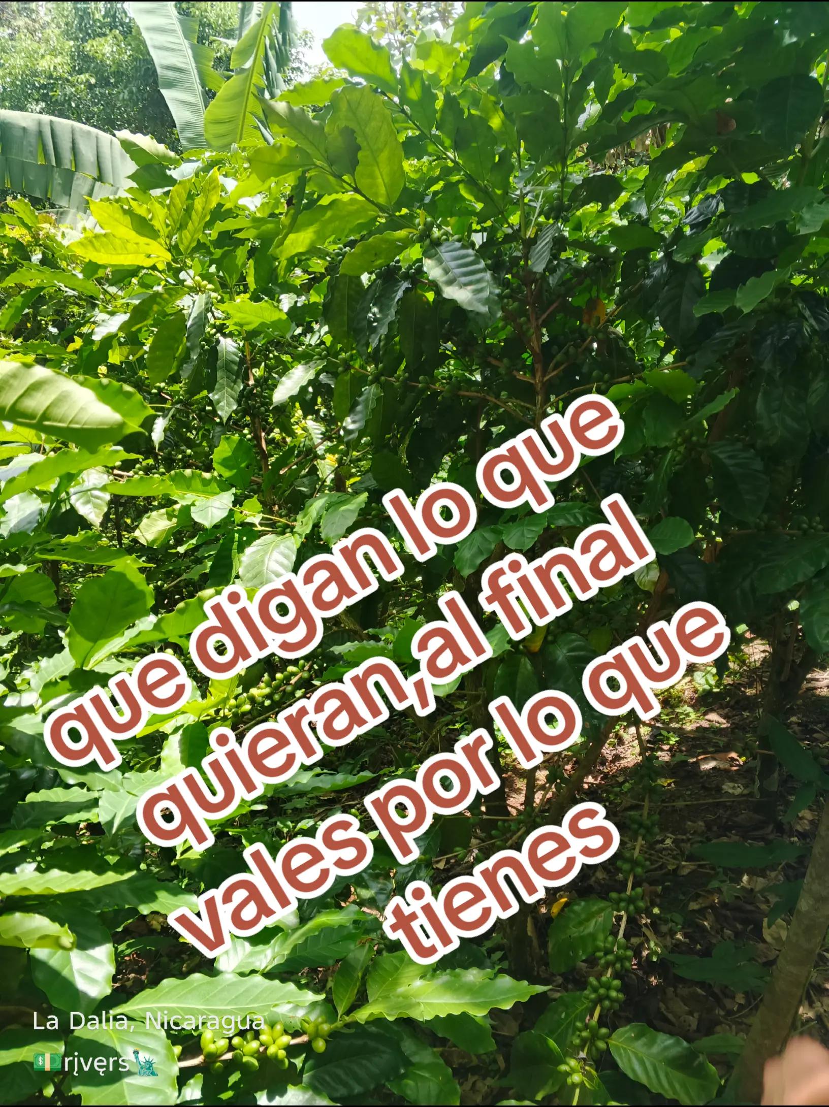 @༄ʳⁱᵛᵉʳˢ.7_࿐