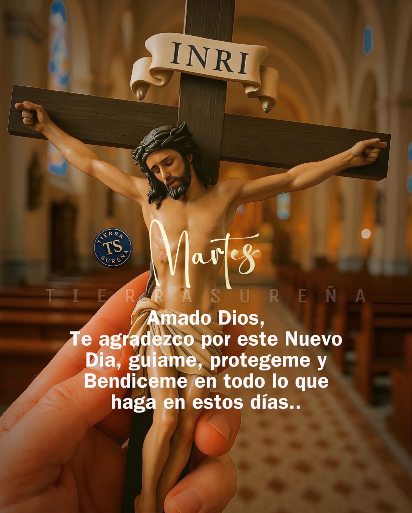 @Angi🧿✅🗝️💎🦐