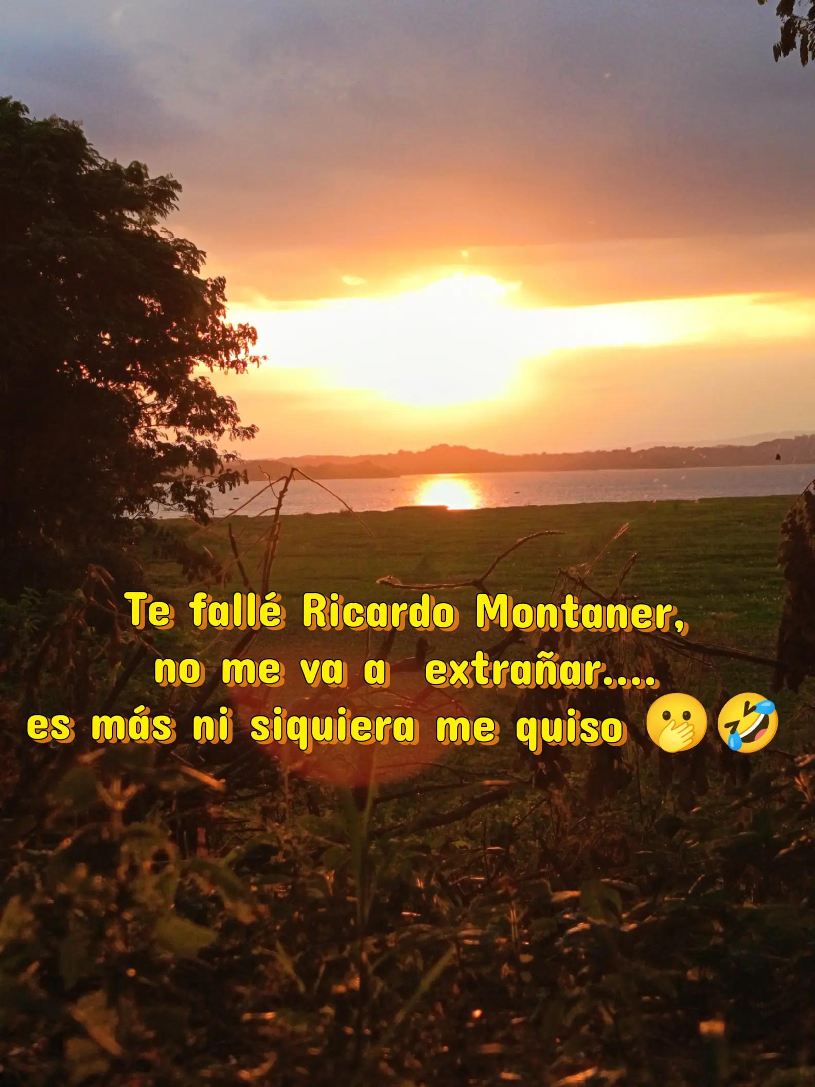 @💫Usuario no encontrado 🌻🌻🌻