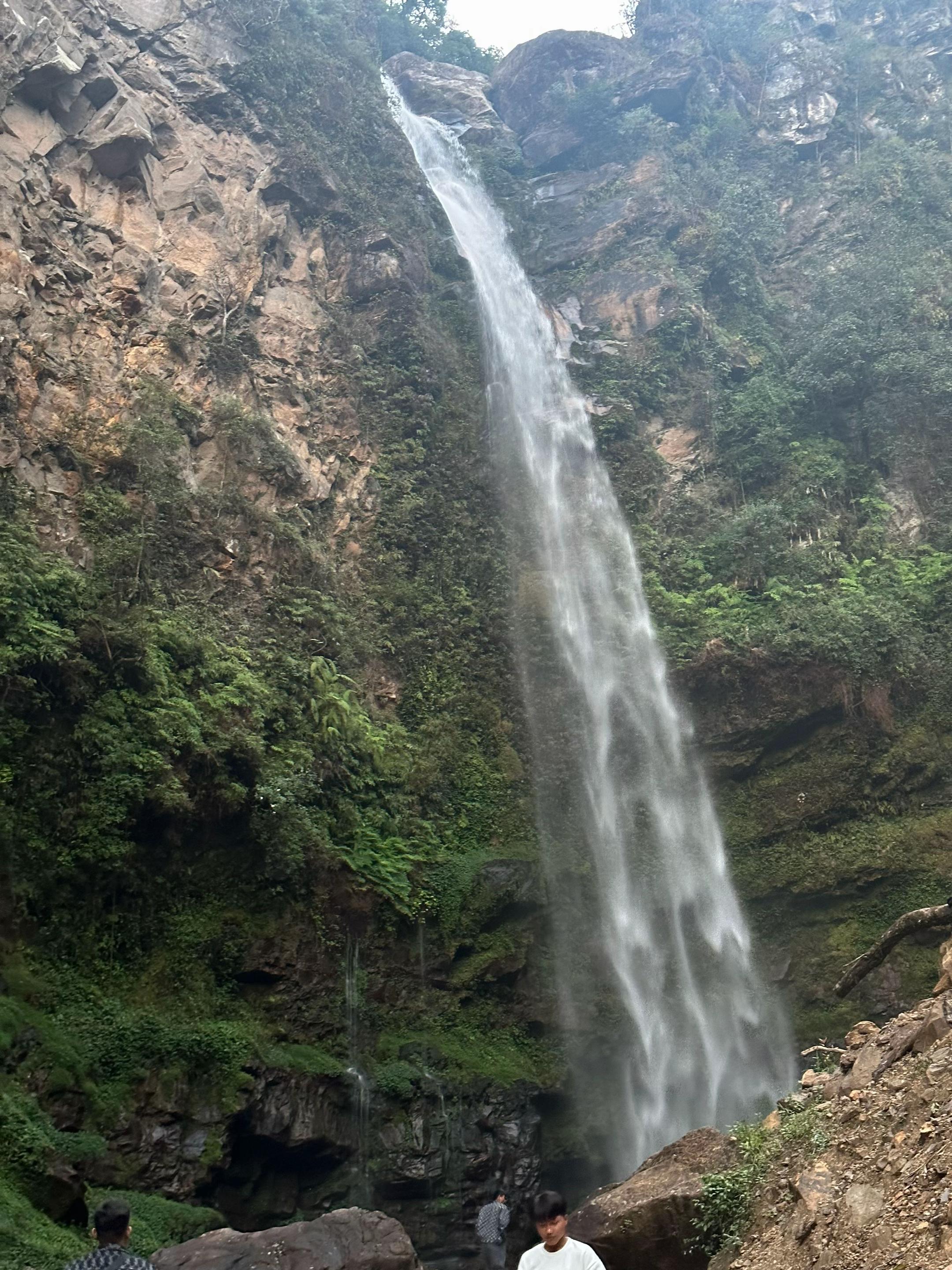 @xingxing123。招代理