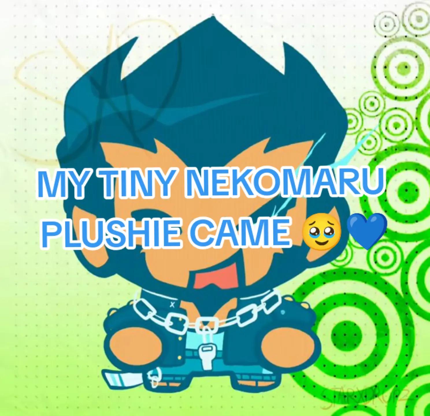 @☠💙Rero | Nekomarus Jackass💙☠