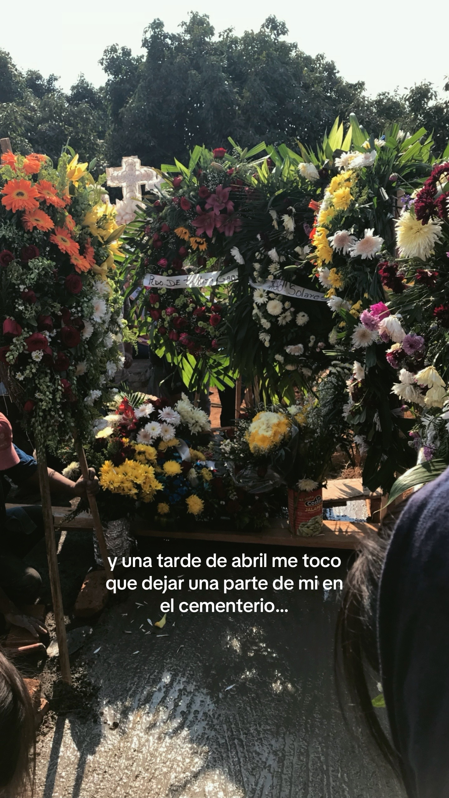@yariana ୨୧