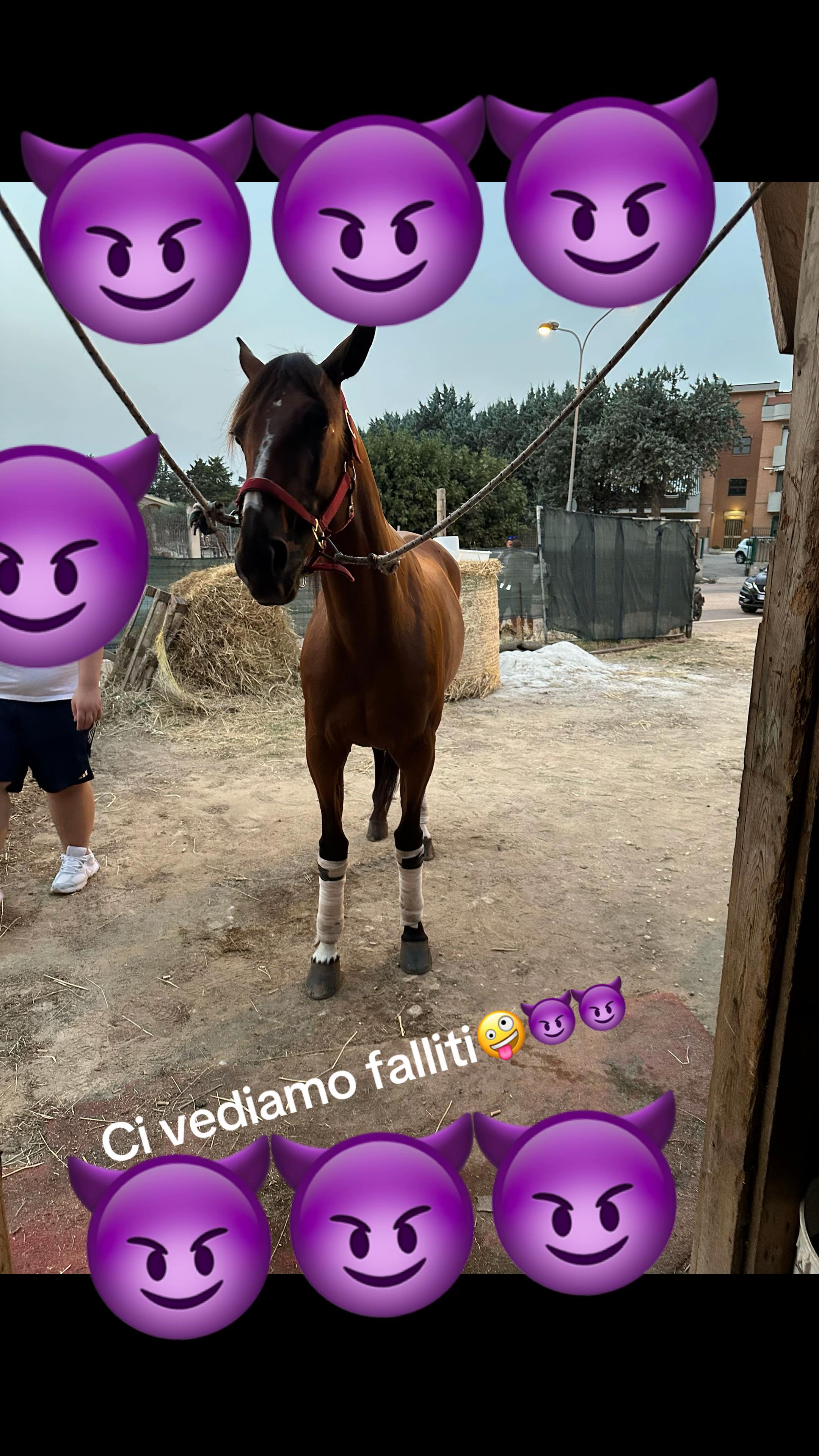 @Sconosciuto6.12