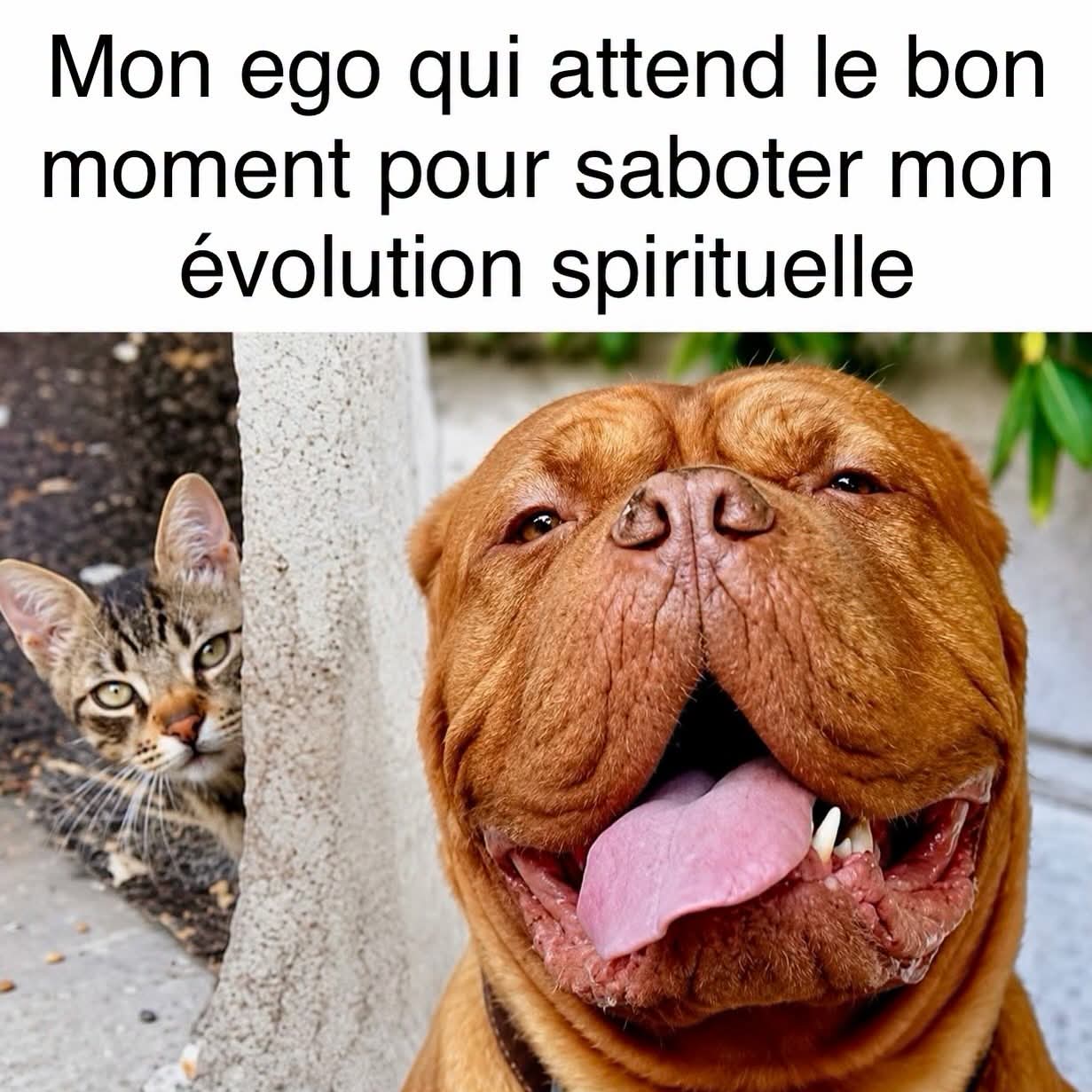 @Delphine ๐