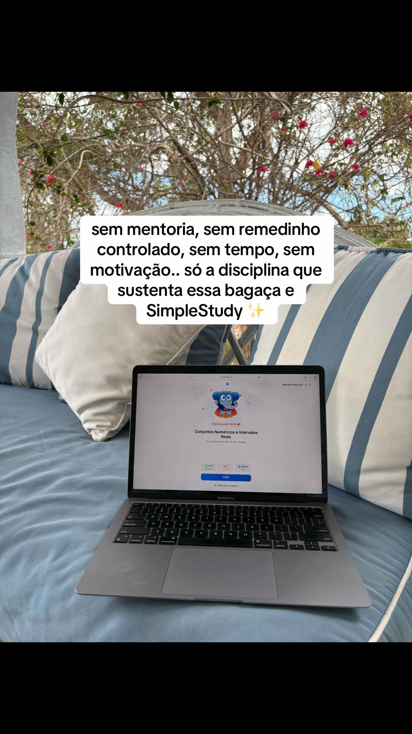 @anarotinadeestudosenem