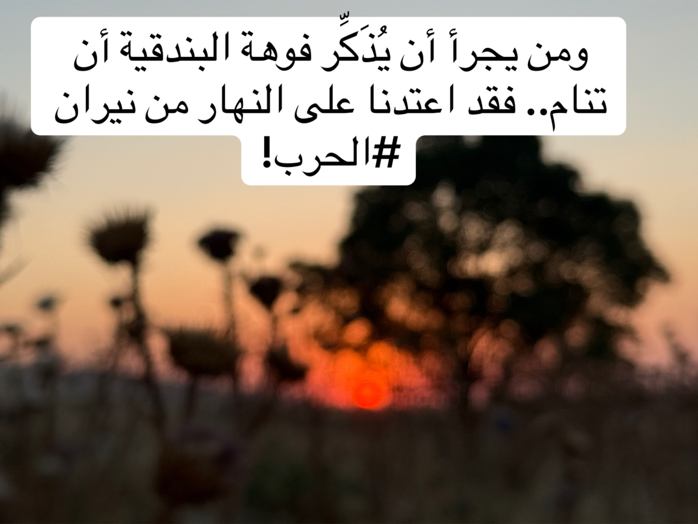 @Zaid Brifkani MDزيد بريفكاني