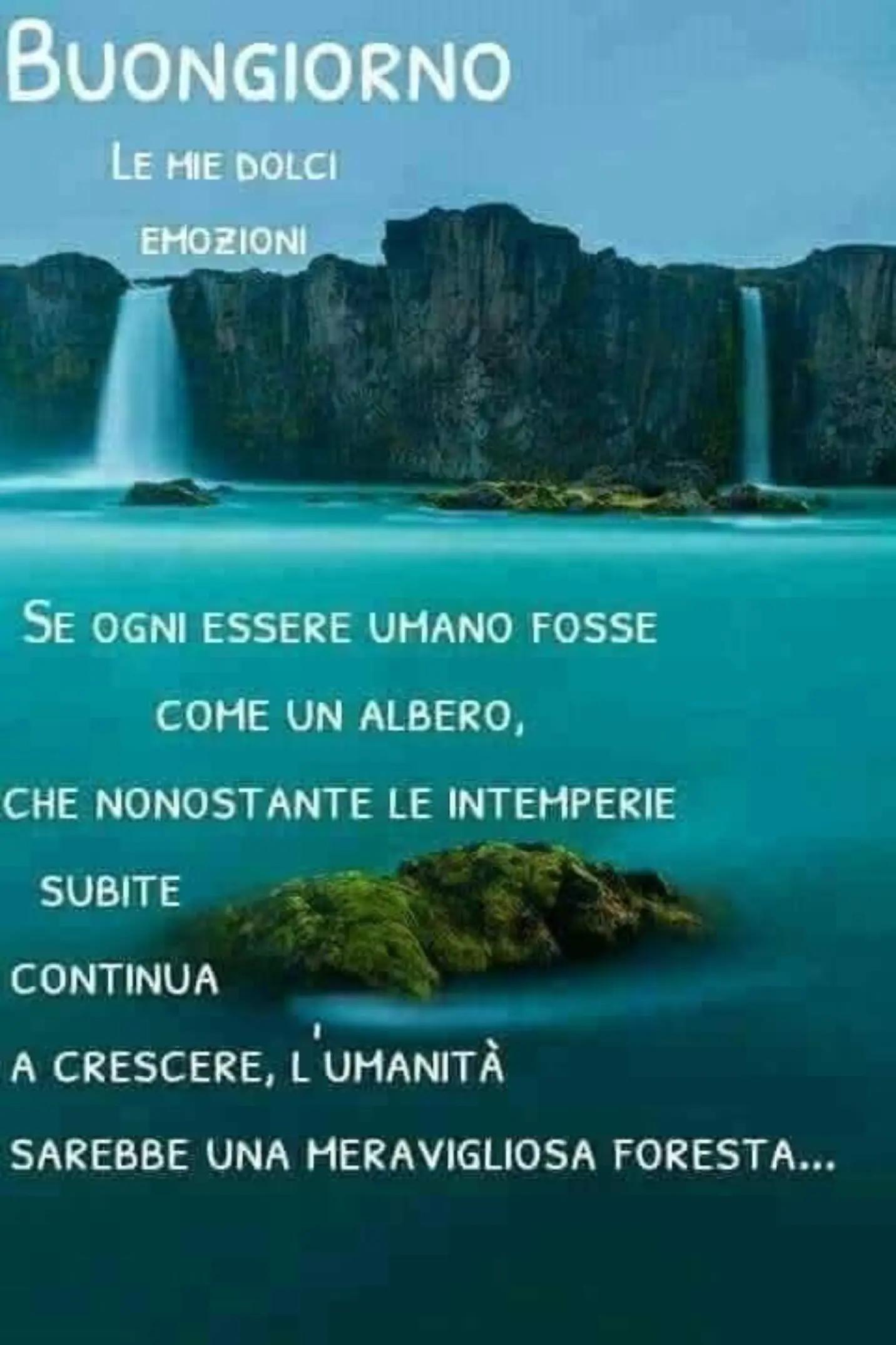 @massimopaniccia58