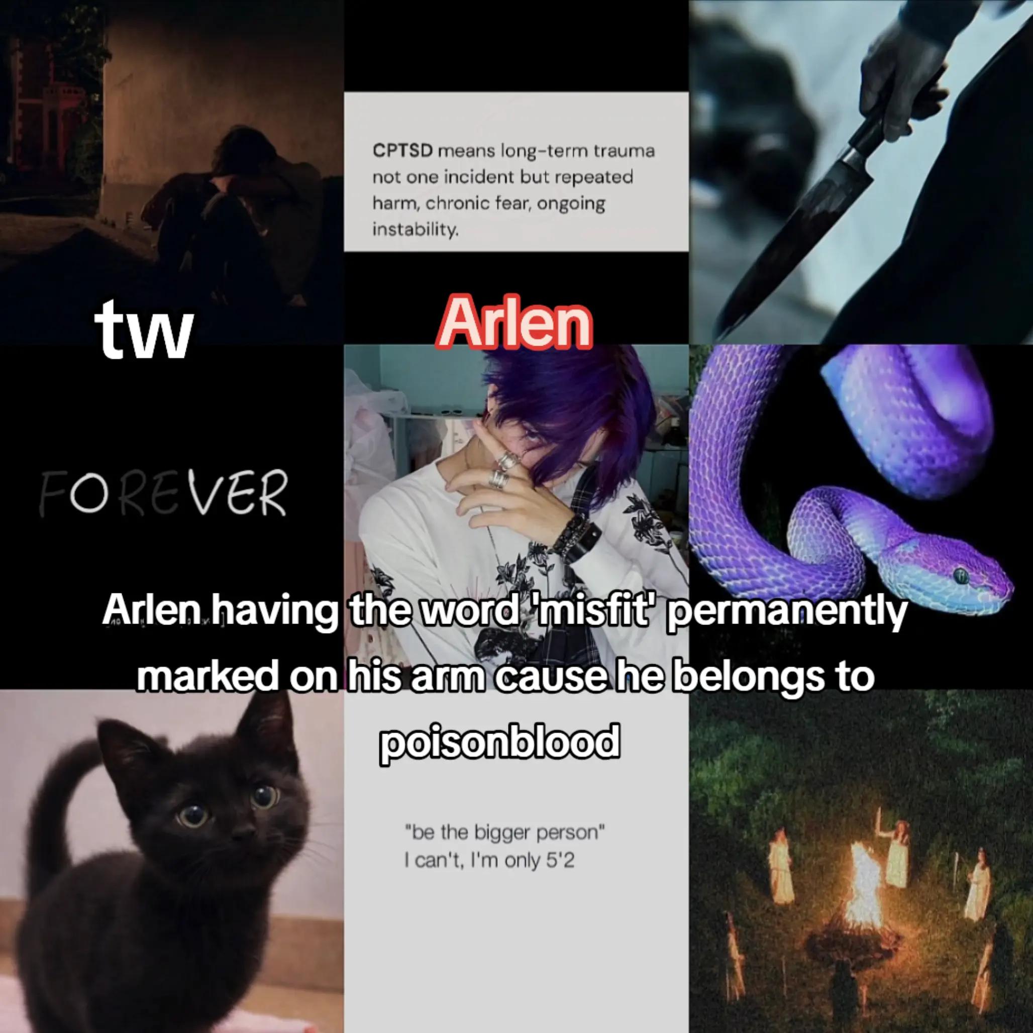 @Alex/the writer