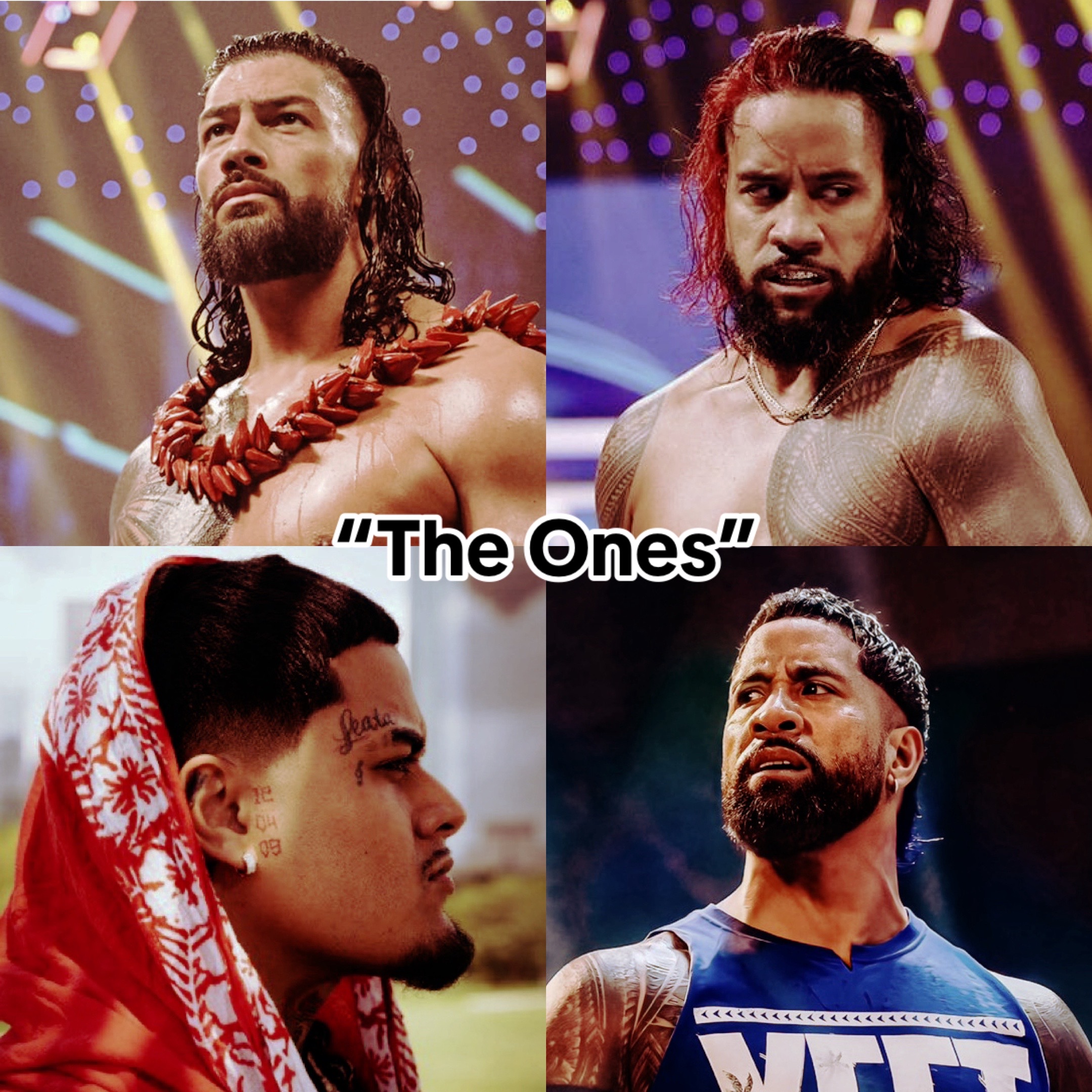 @TKO Wrestling Guy