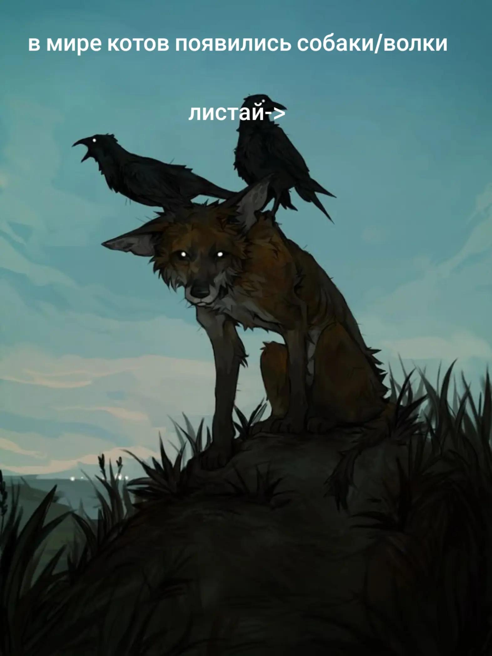 @🪷/Мэнделина SBA\🪷