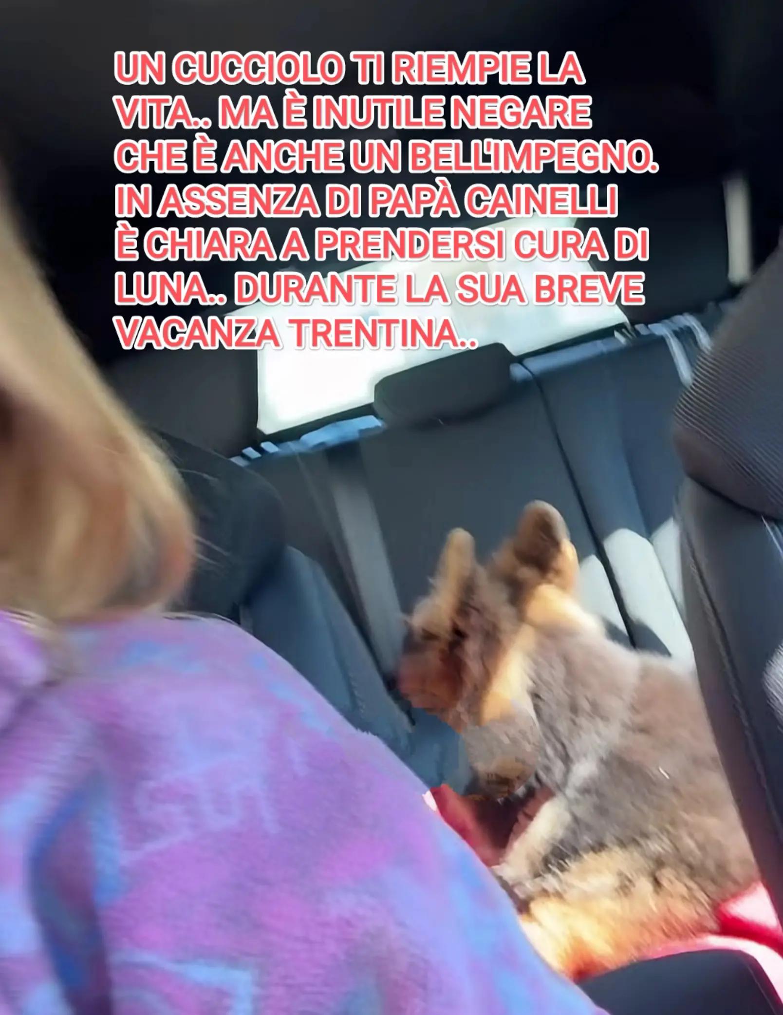 @patty61