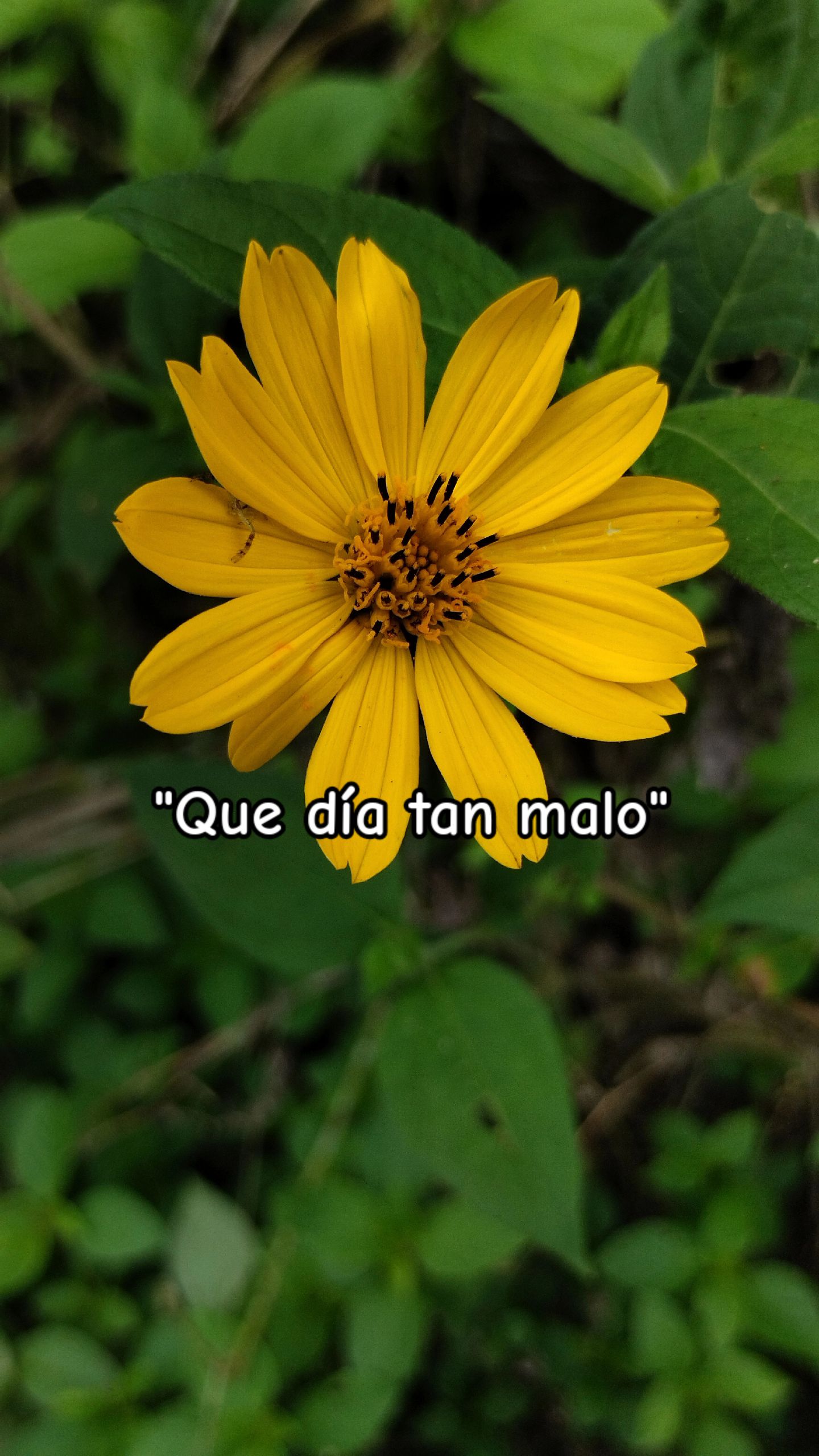 @JordyAP