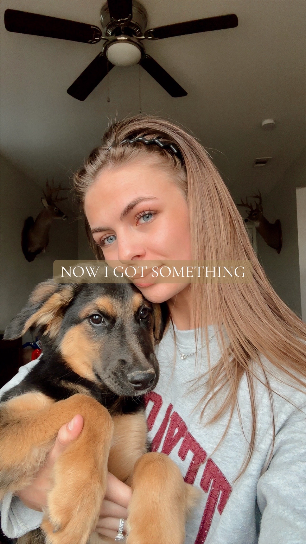 @jaysisims
