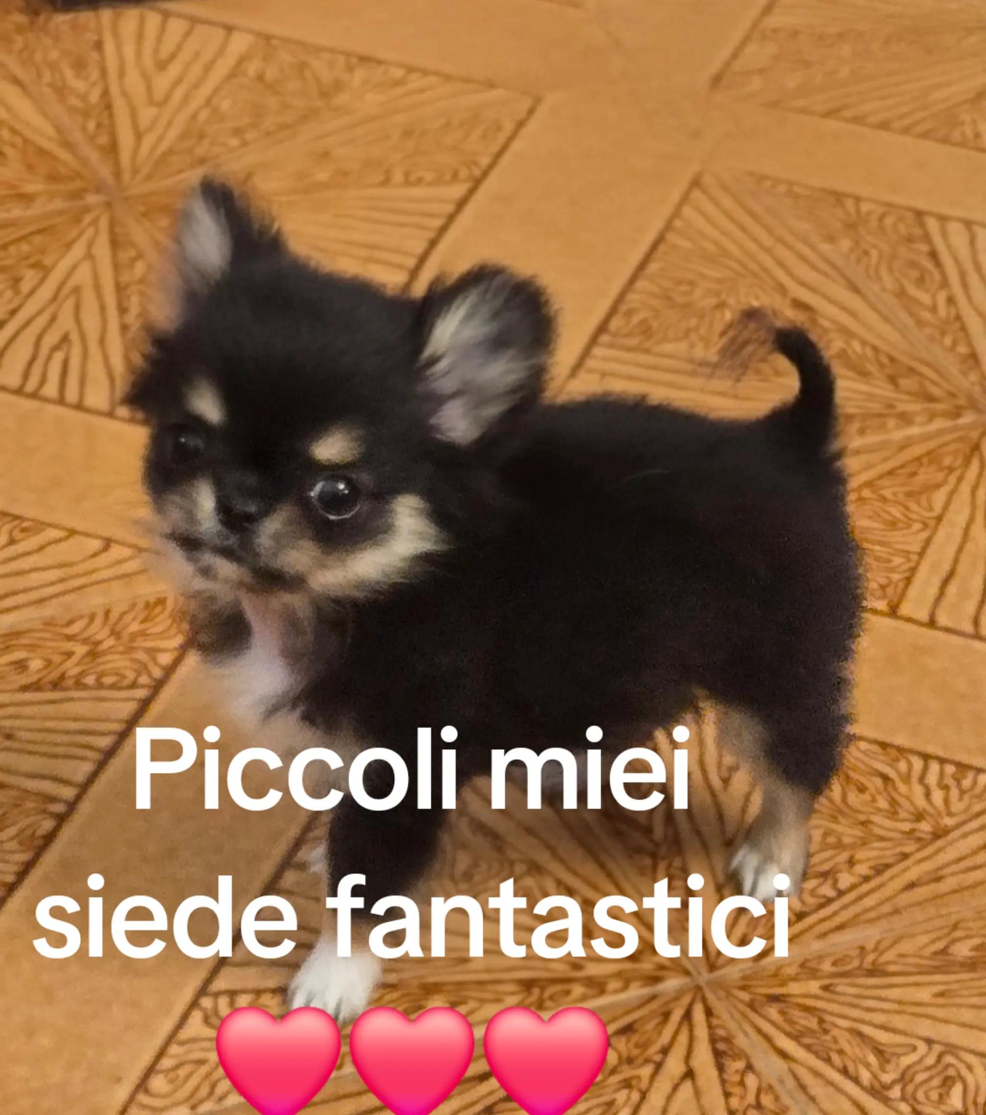 @Elena Paganelli