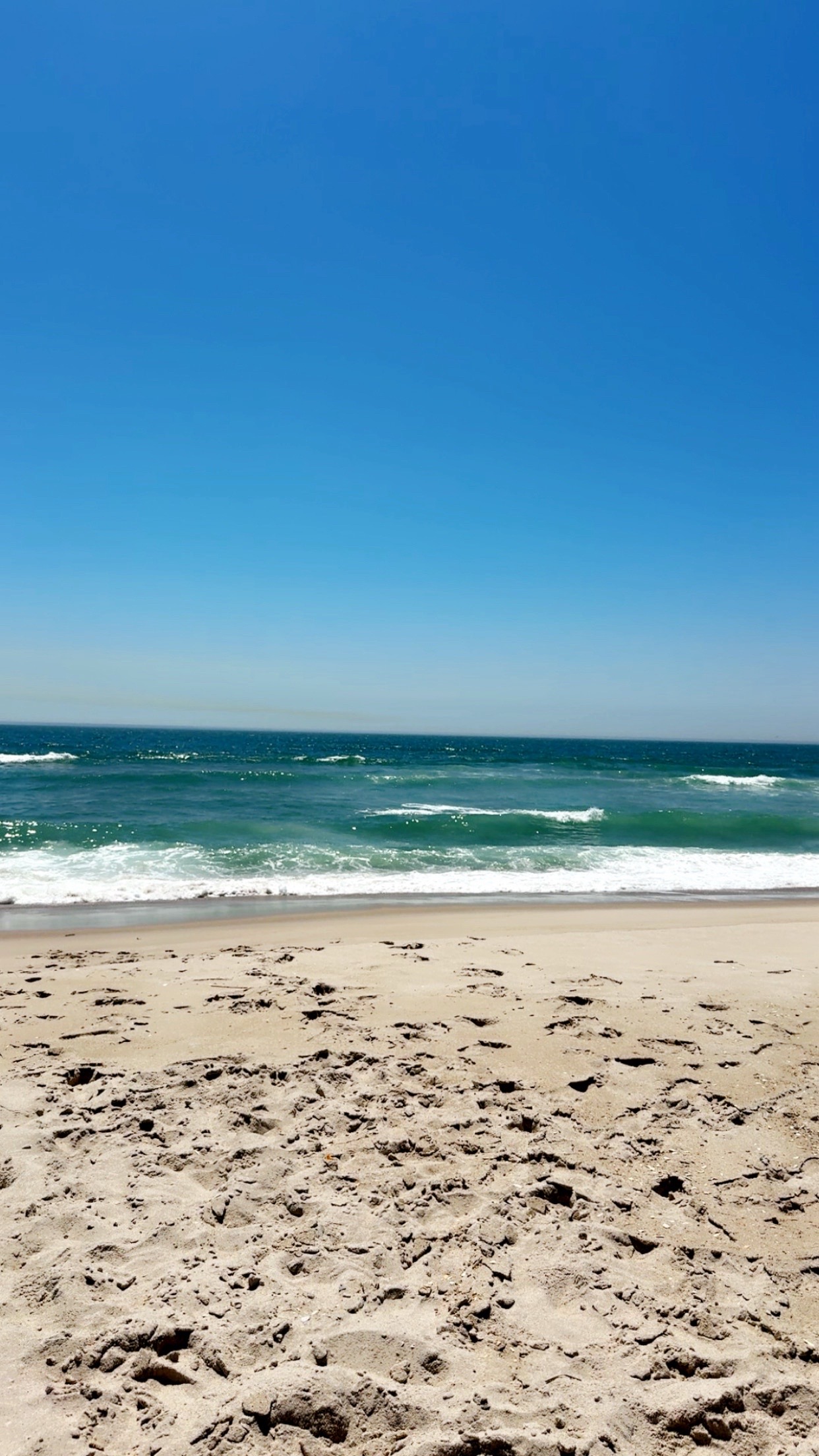 @NICOLE