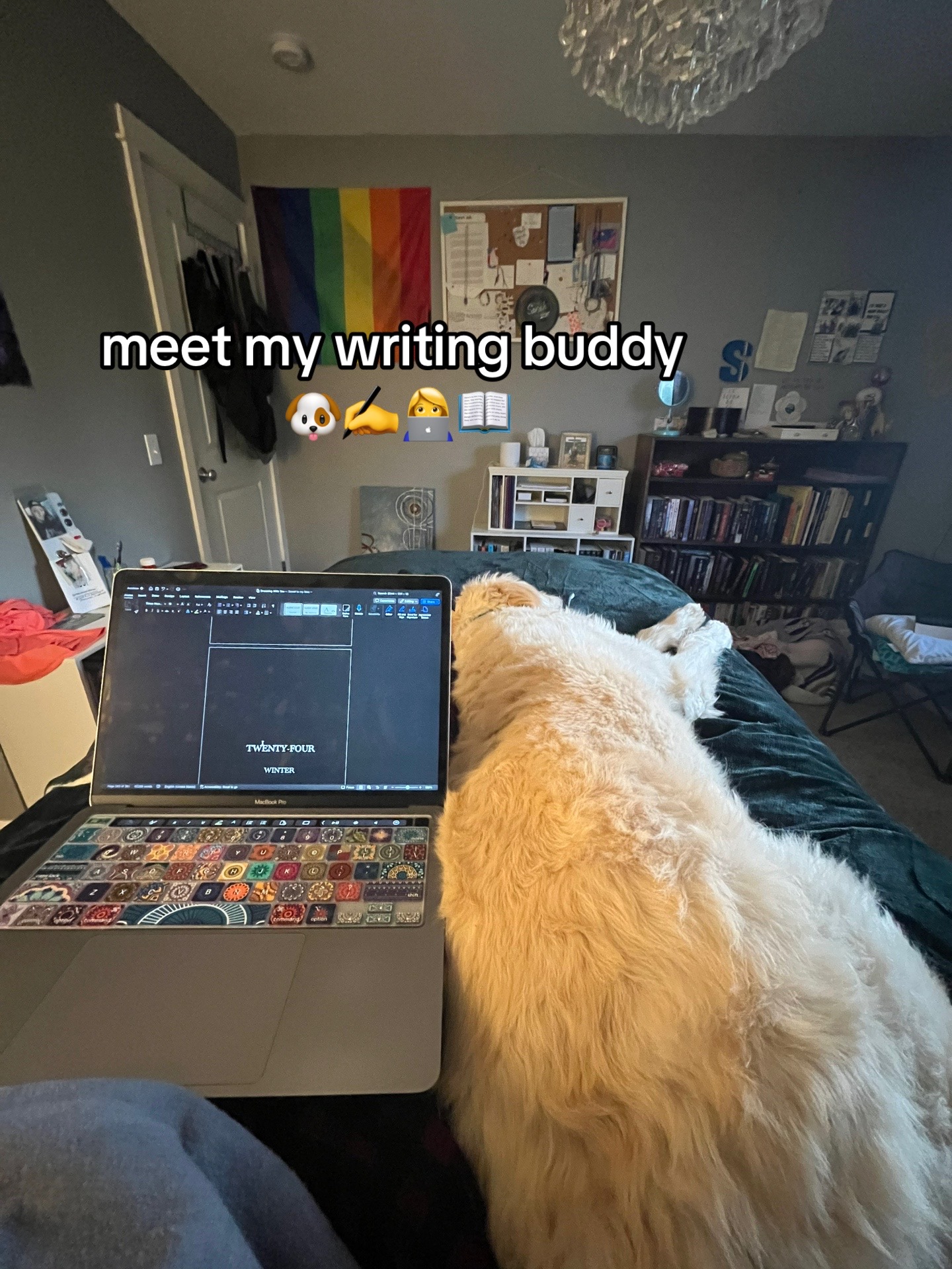 @sarbear 🧸✍️📖