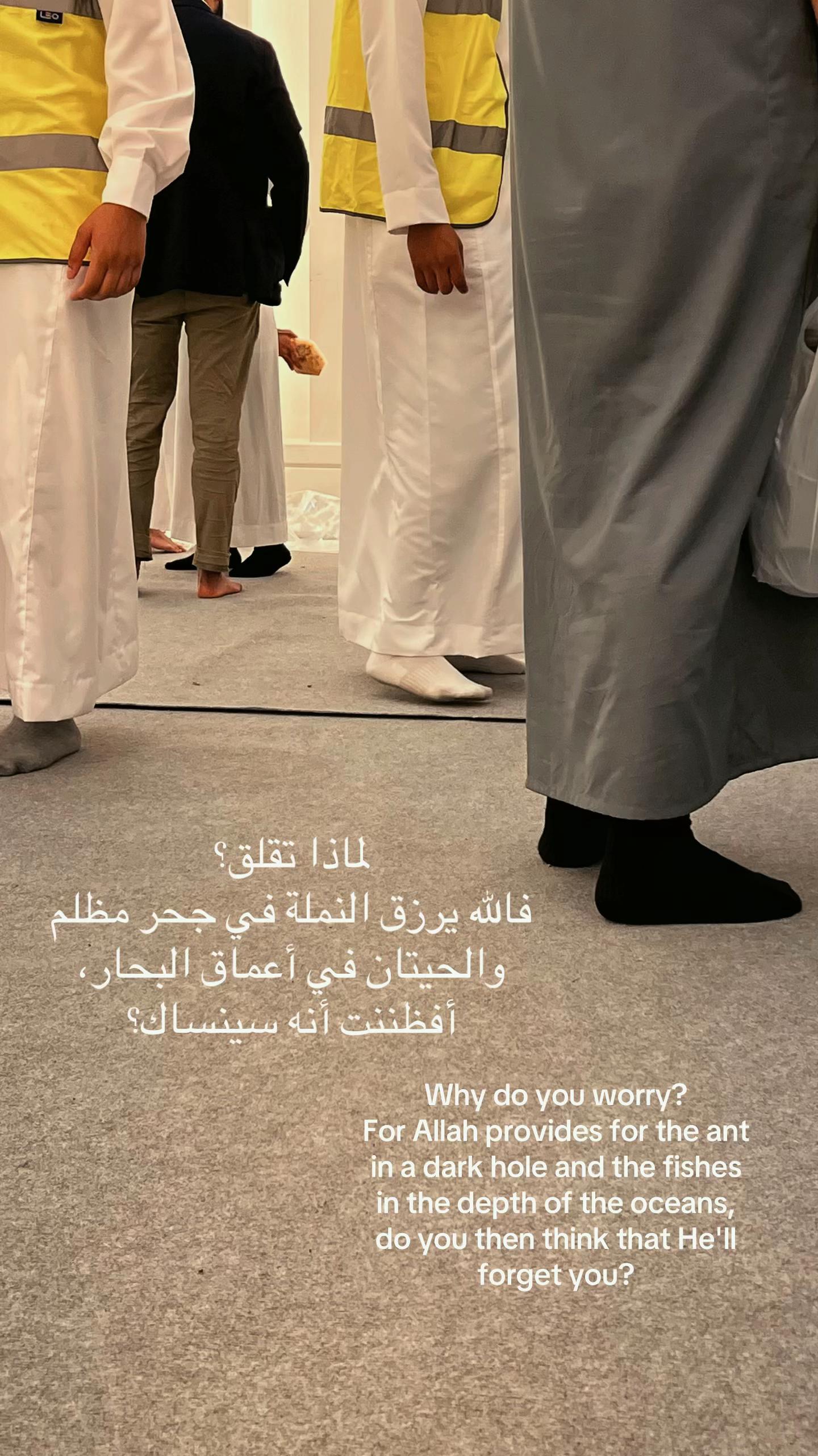 @تحميد