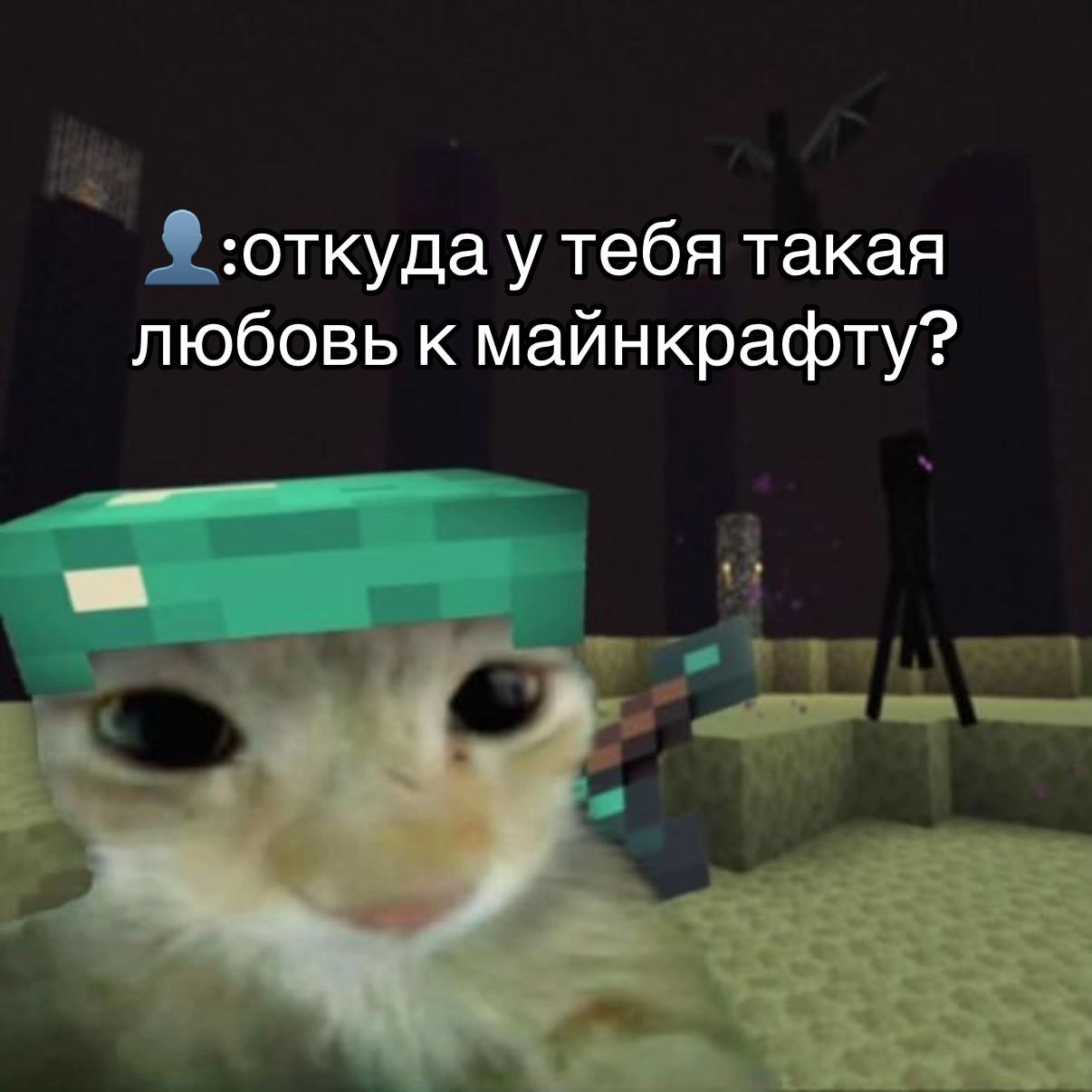 @висФЕЙЛ❌