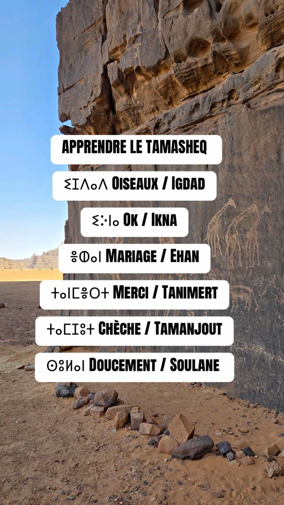 @𝑻𝑶𝑼𝑨𝑹𝑬𝑮 ⵣ