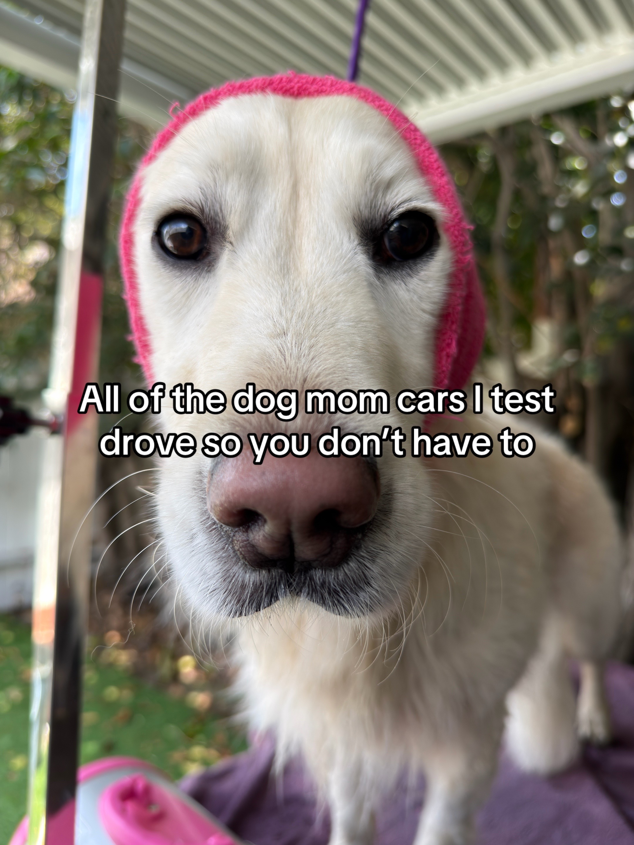 @goldenretrieevee