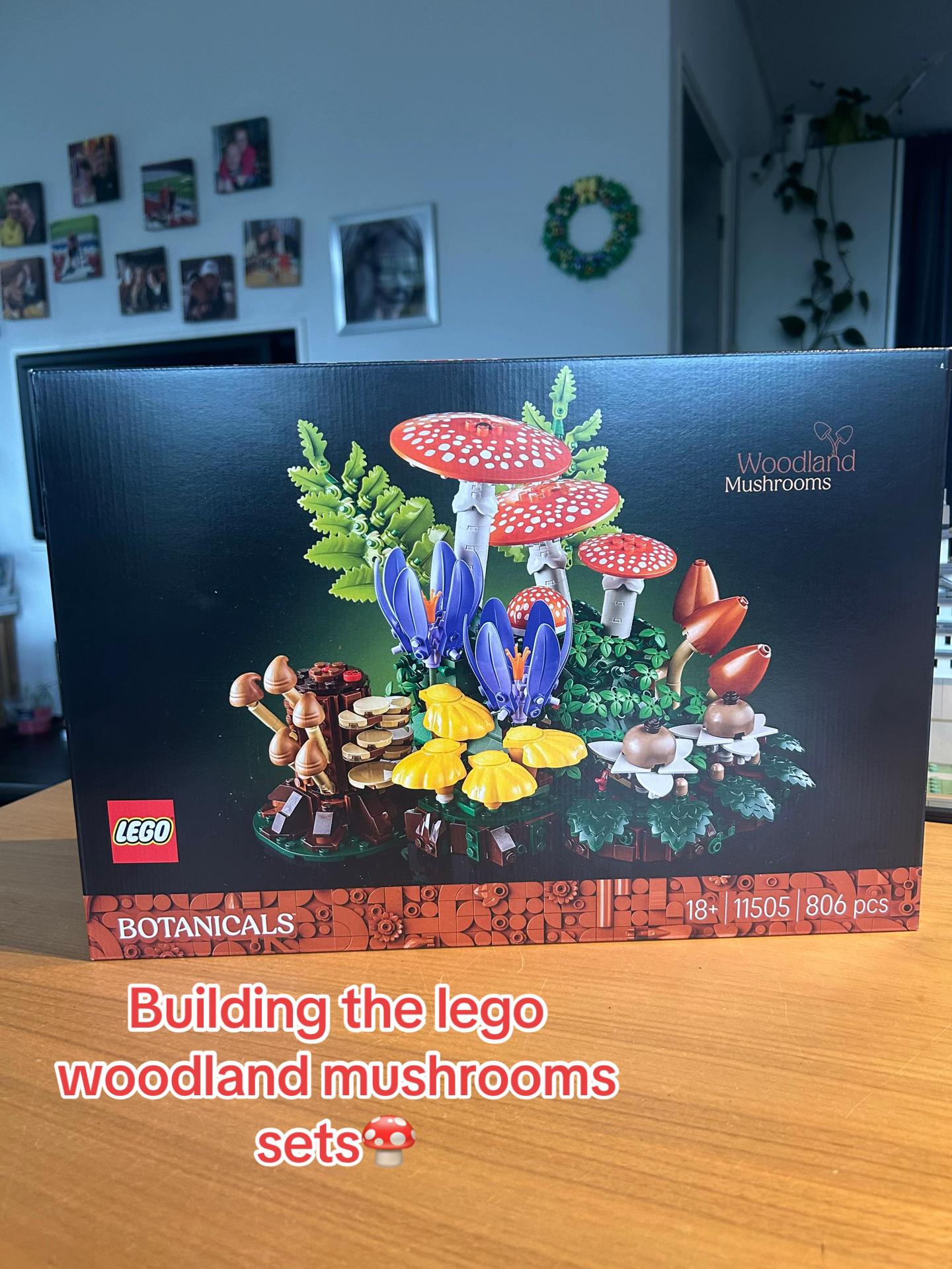 @lego builder🧱