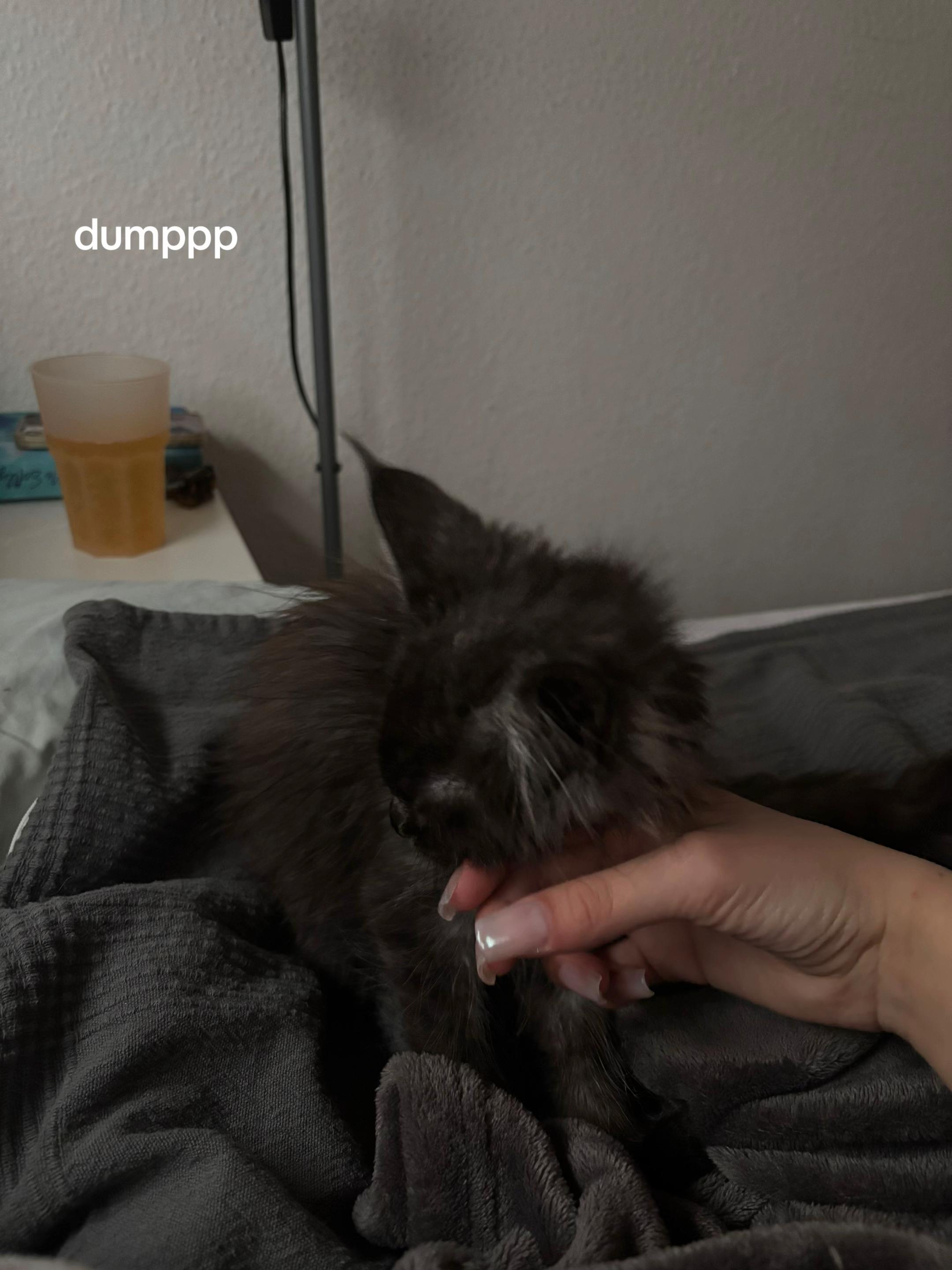 @fiasspam💕