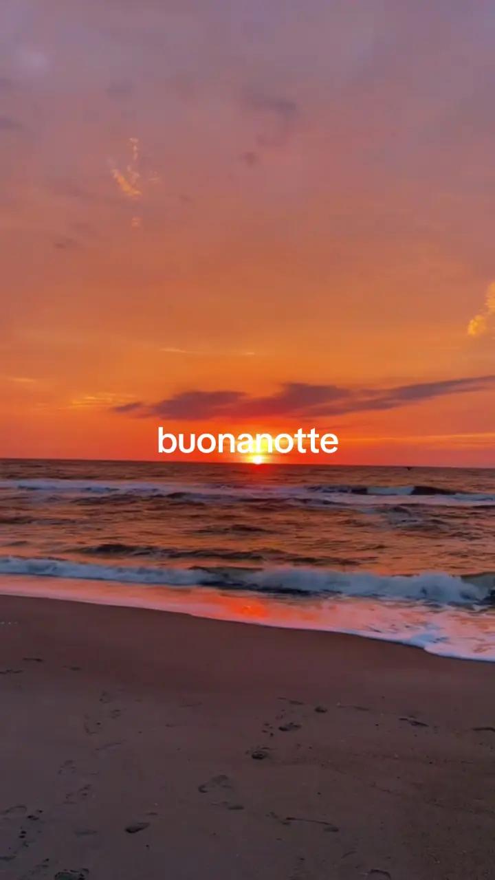 @antonellagaudino61